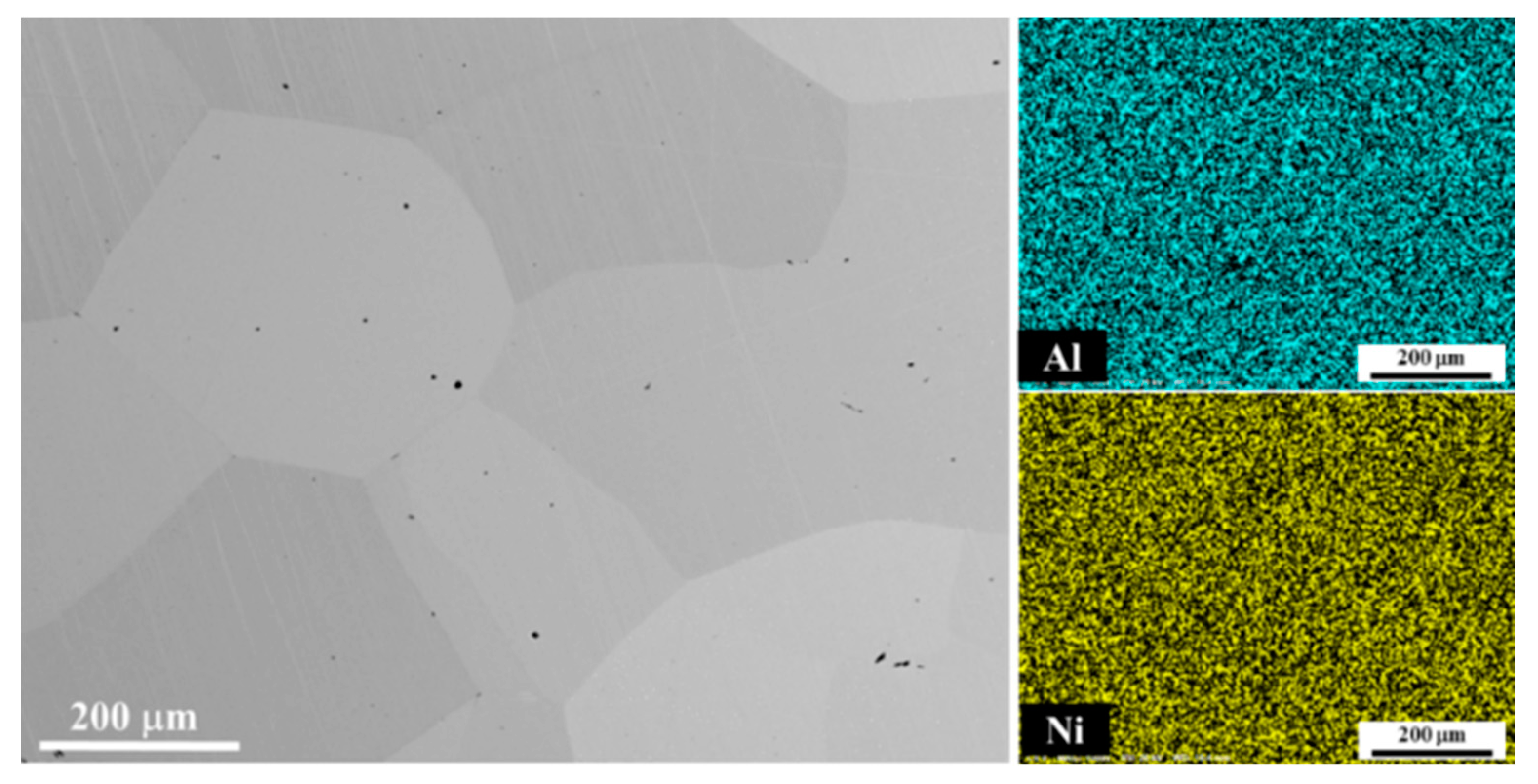 Etabli modulaire - composition B2