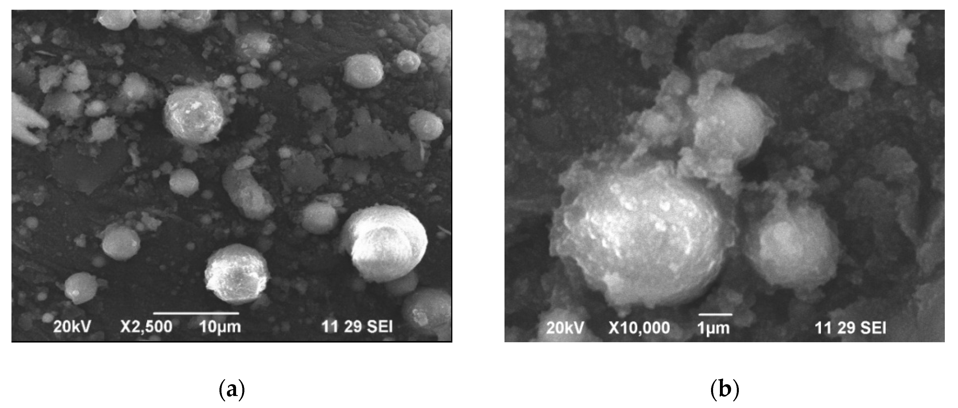 Metals 10 01425 g001 Metals 10 01425 g001