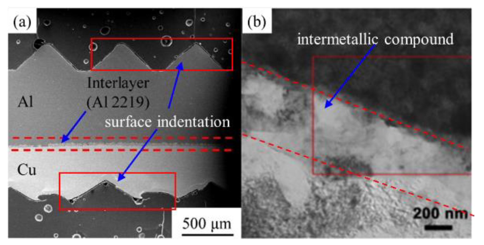 Metals 10 01444 g001