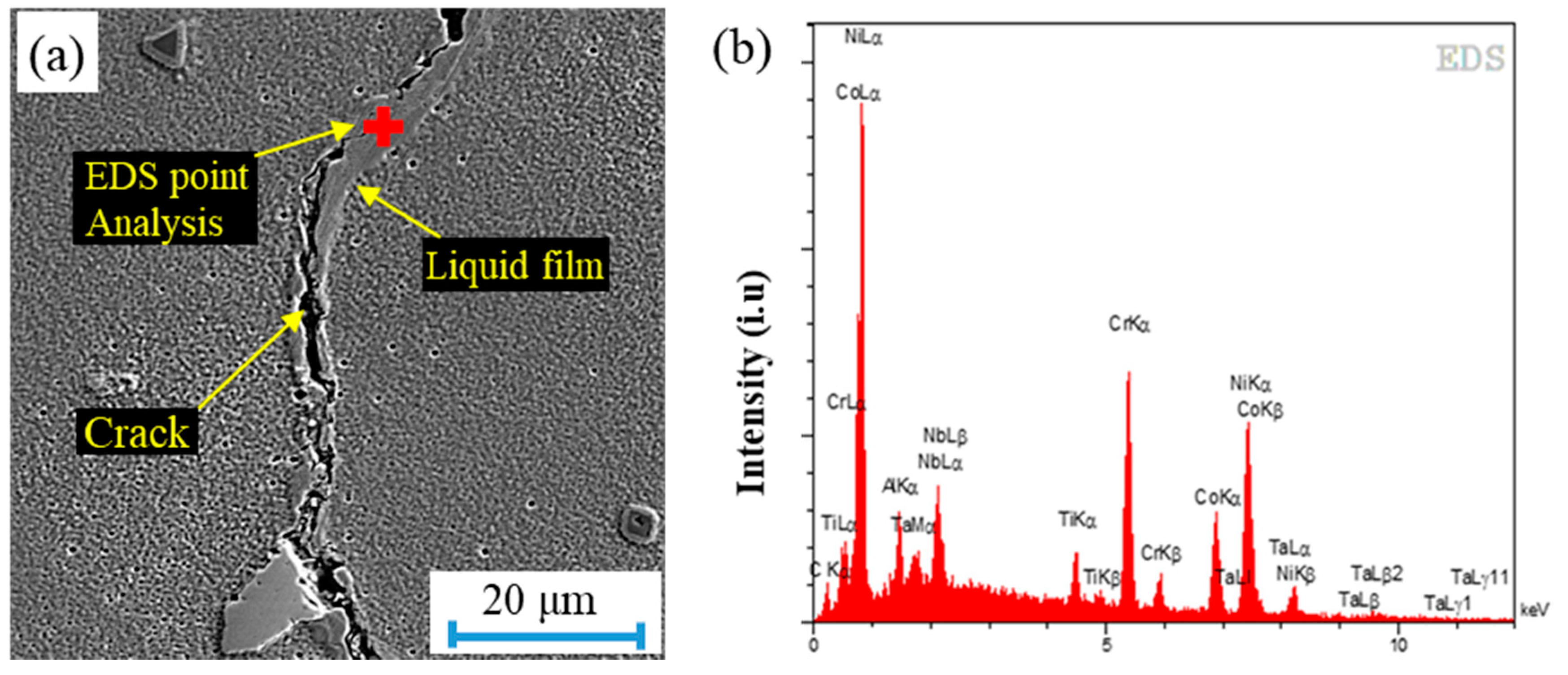 Metals 10 01453 g012