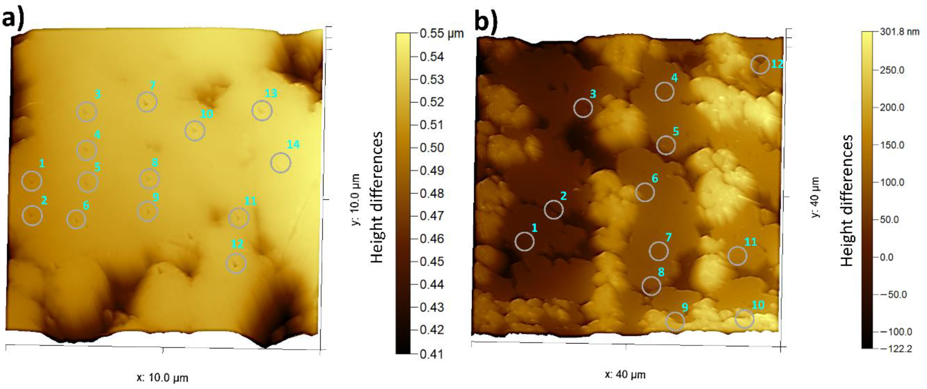 Metals 10 01456 g006