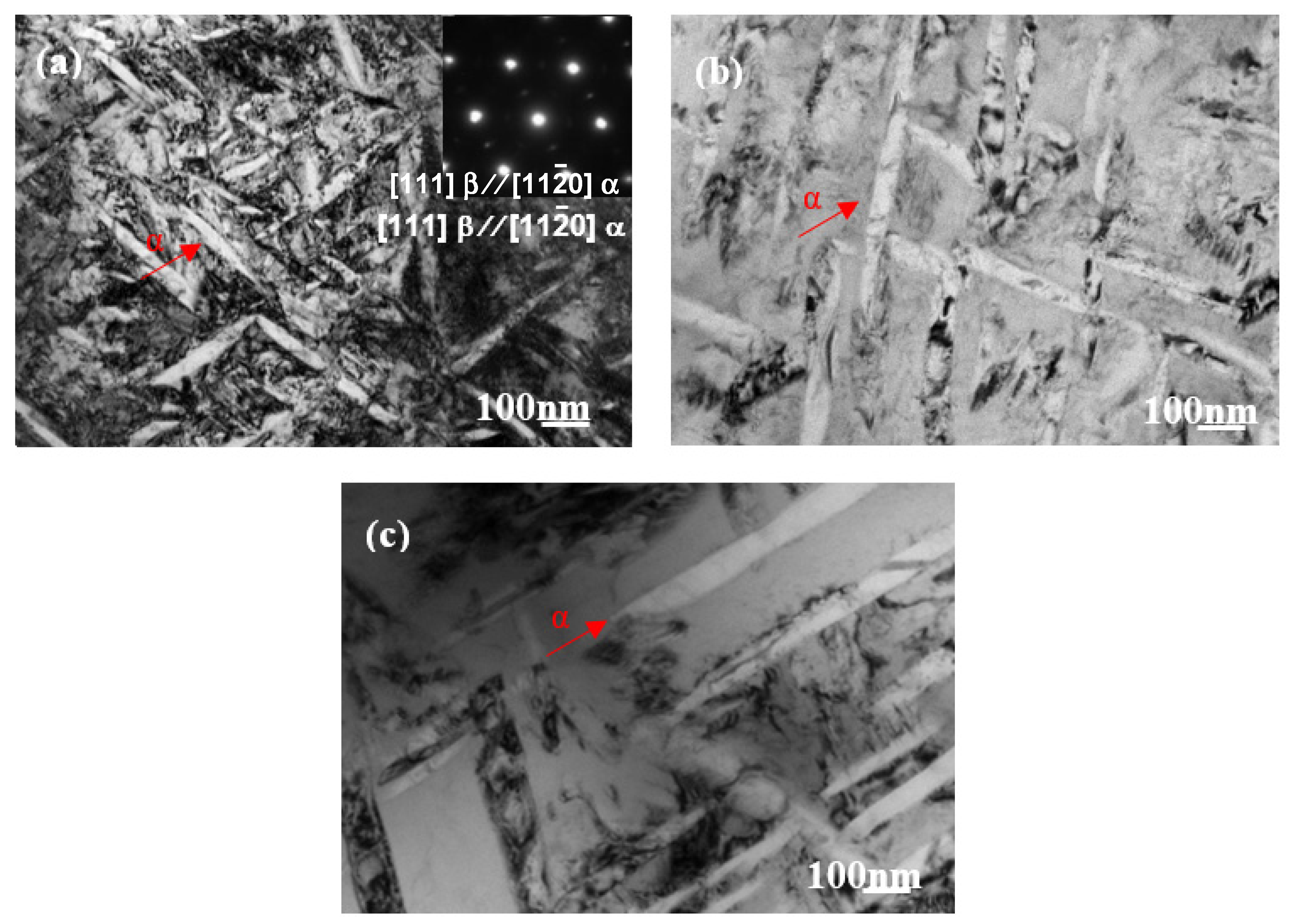 Metals 10 01482 g001