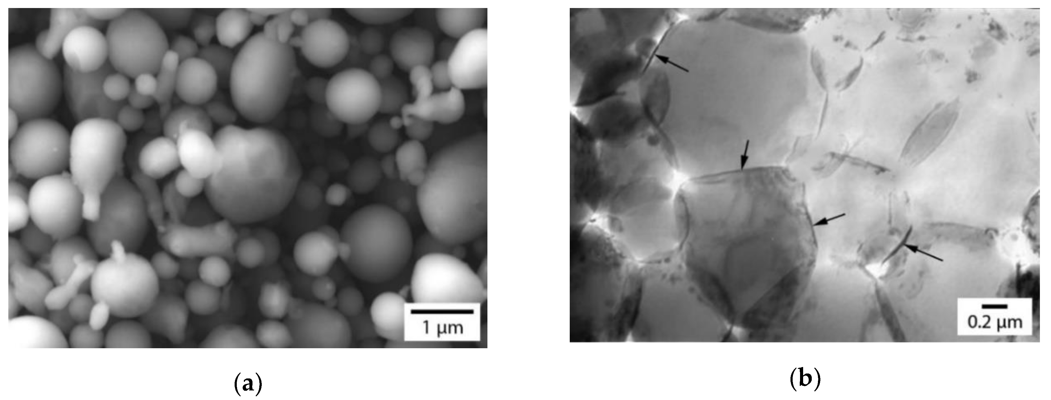 Metals 10 01483 g001 Metals 10 01483 g001