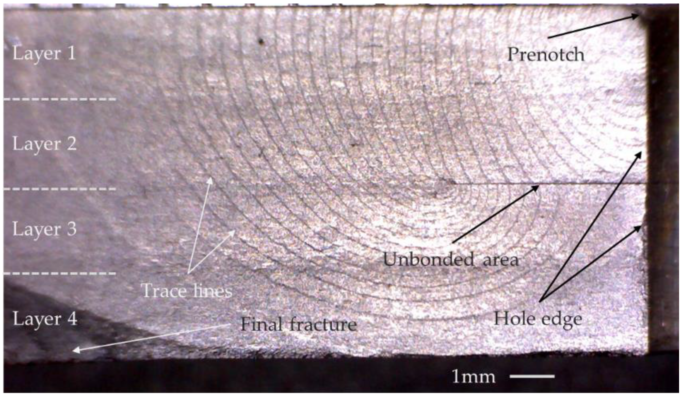 Metals 10 01526 g004