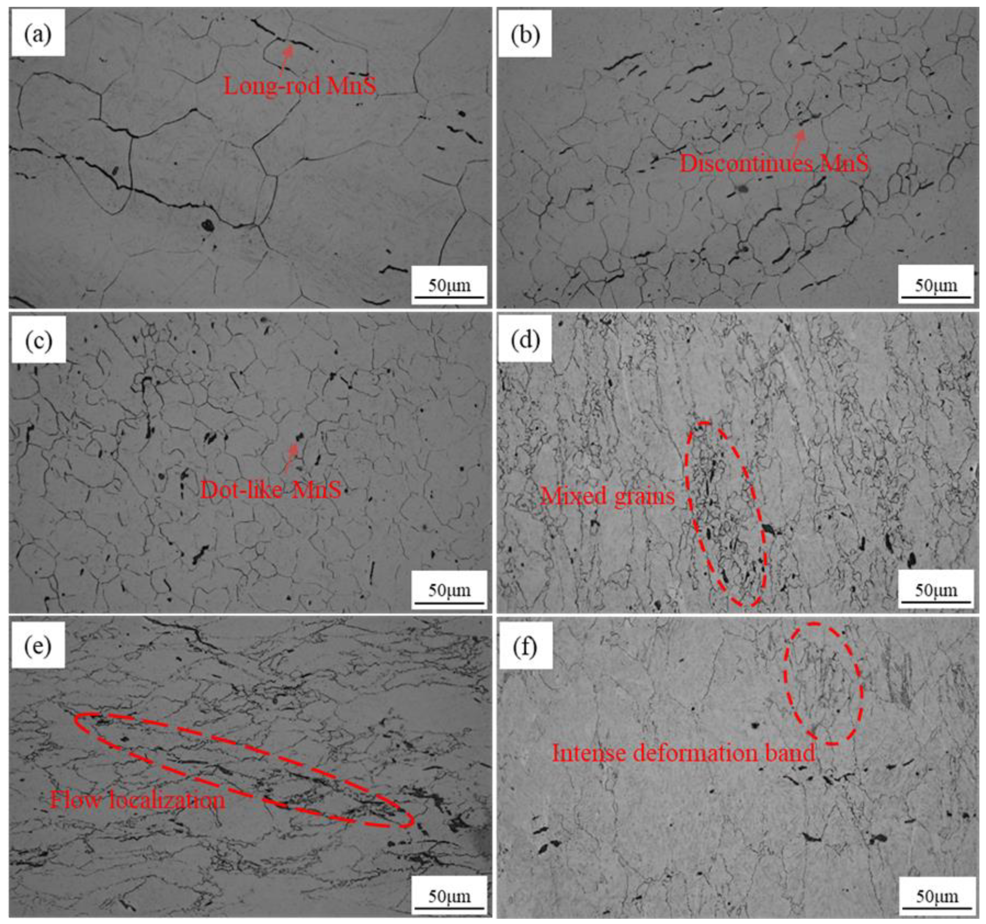 Metals Free Full Text Influence Of Hot Deformation And Precipitates On The Recrystallization Of Nb V Ti Free Cutting Steel Html