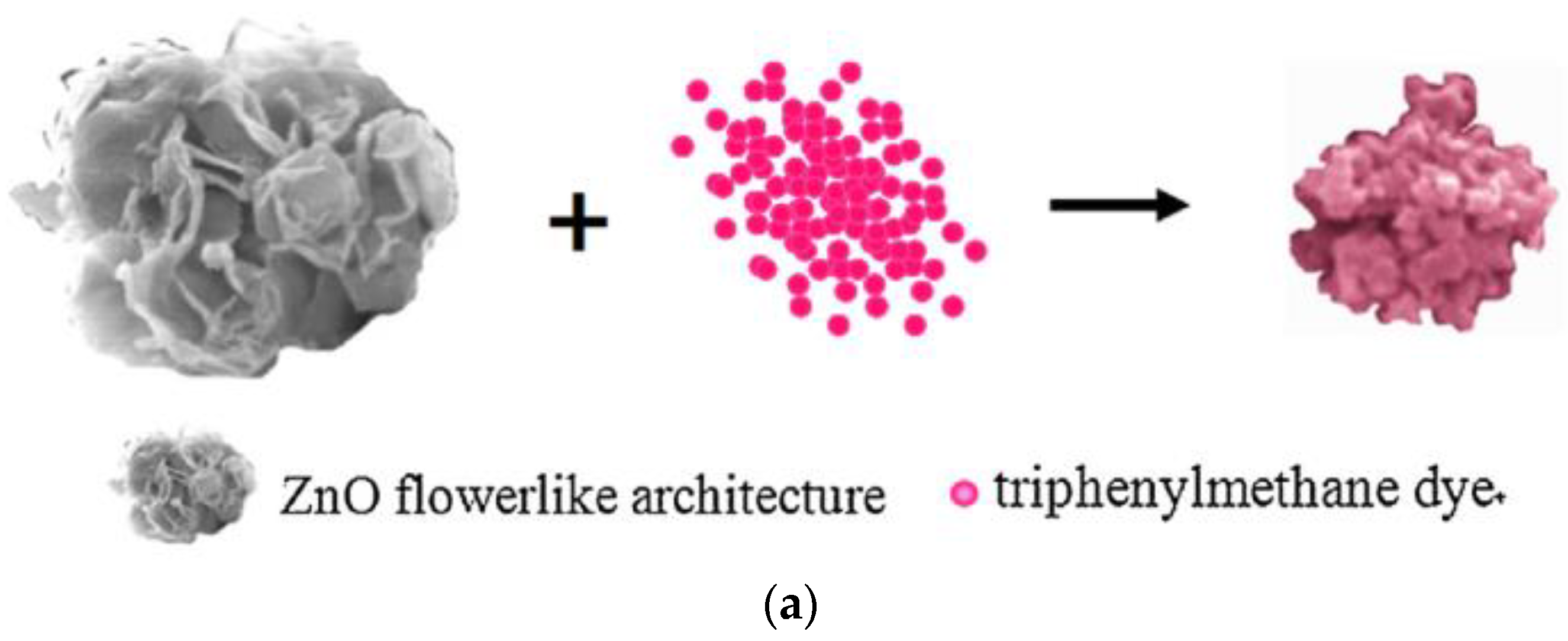 Metals 10 01604 g001a Metals 10 01604 g001a