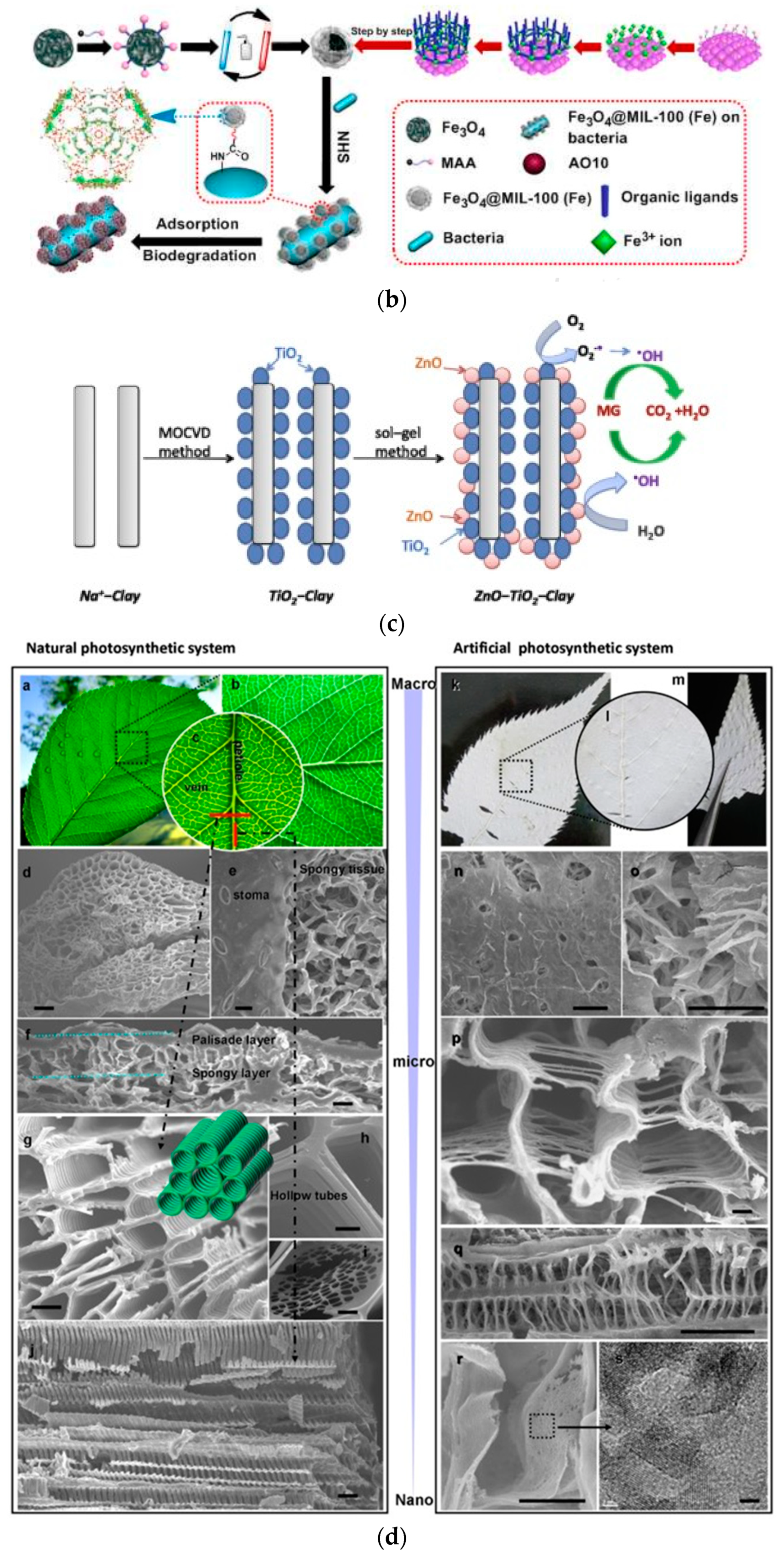 Metals 10 01604 g001b Metals 10 01604 g001b