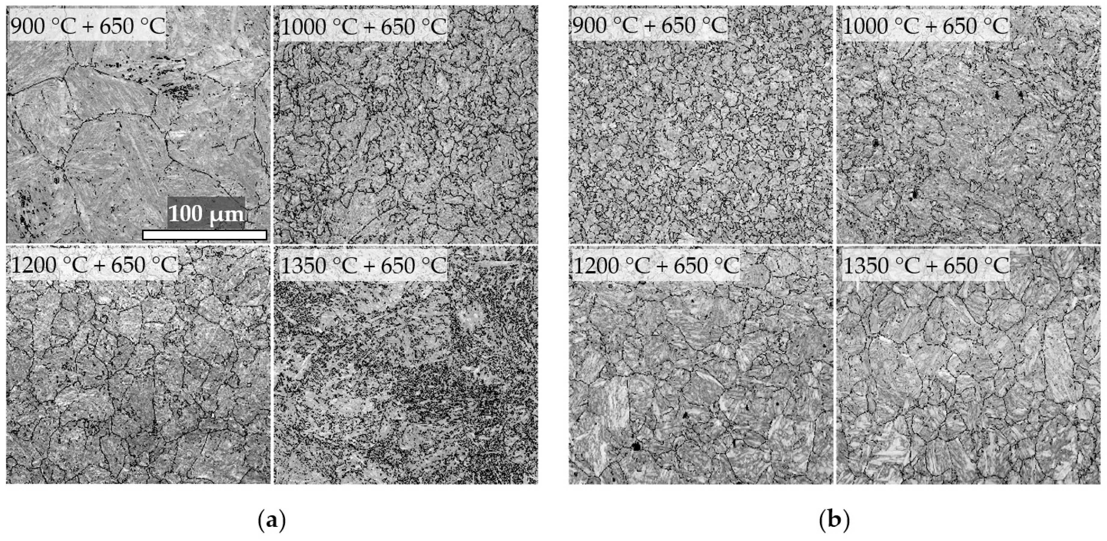 Metals 10 01612 g004 Metals 10 01612 g004