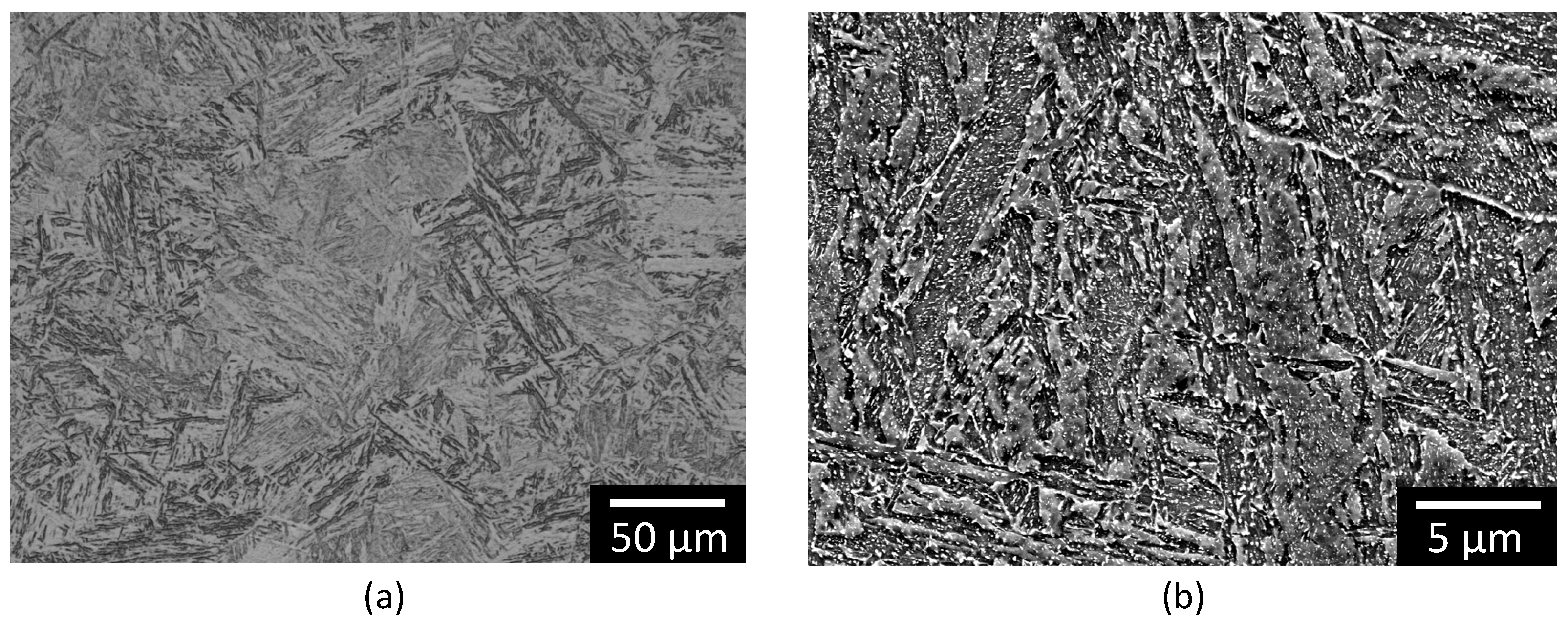 Metals 10 01628 g001