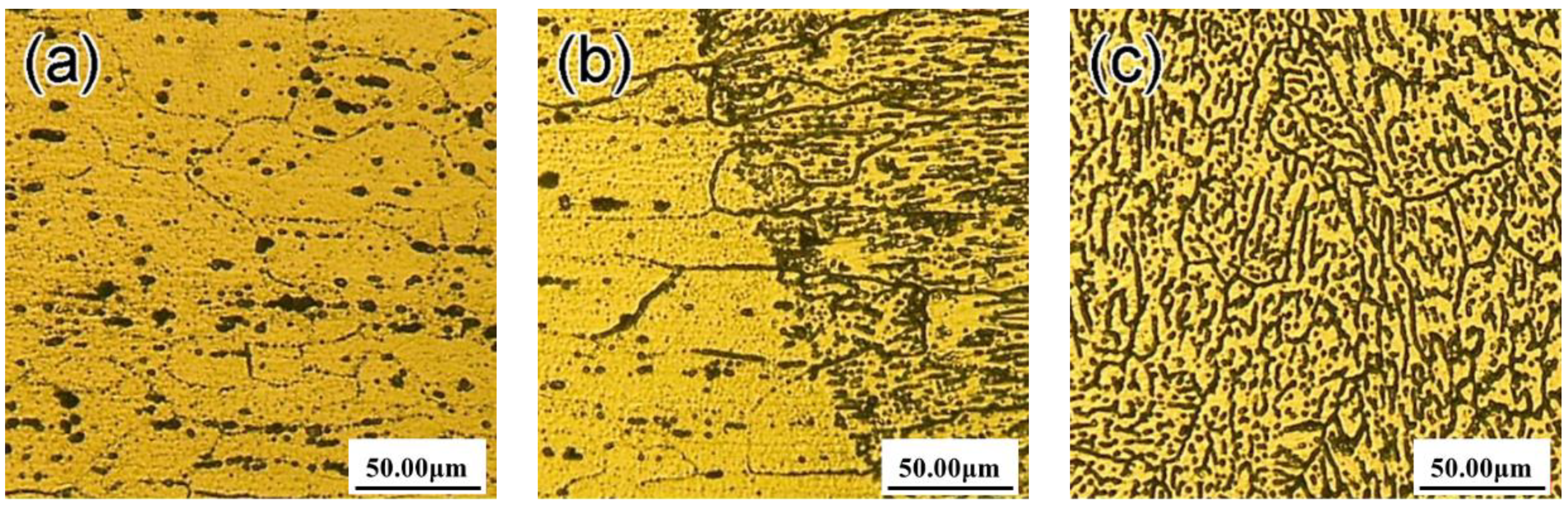 Metals 11 00003 g003