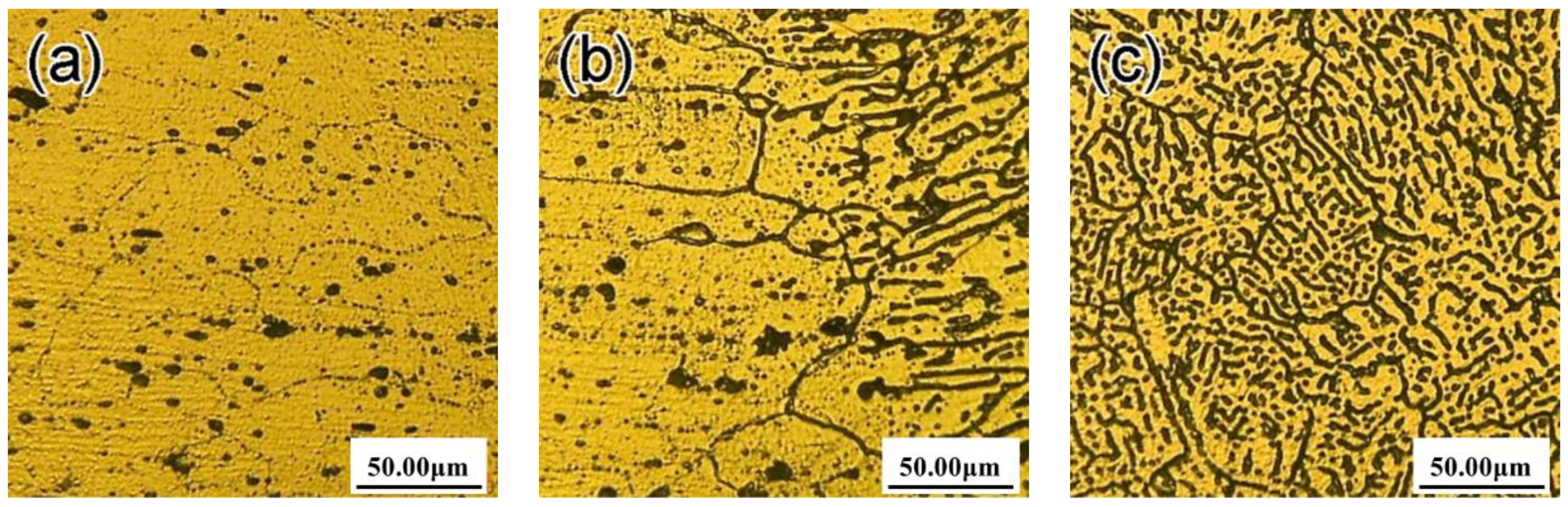 Metals 11 00003 g004