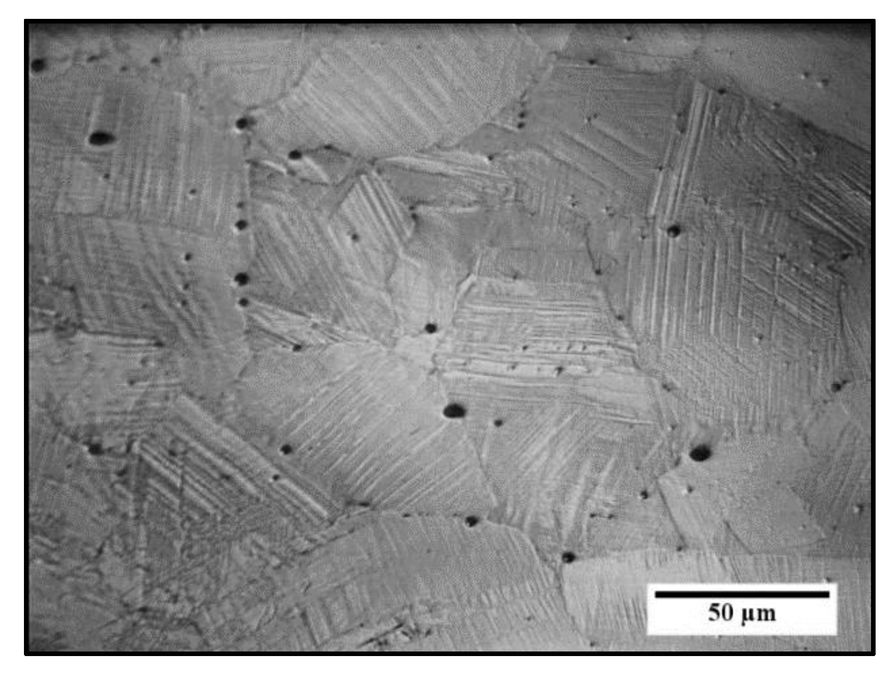 Metals 11 00024 g002