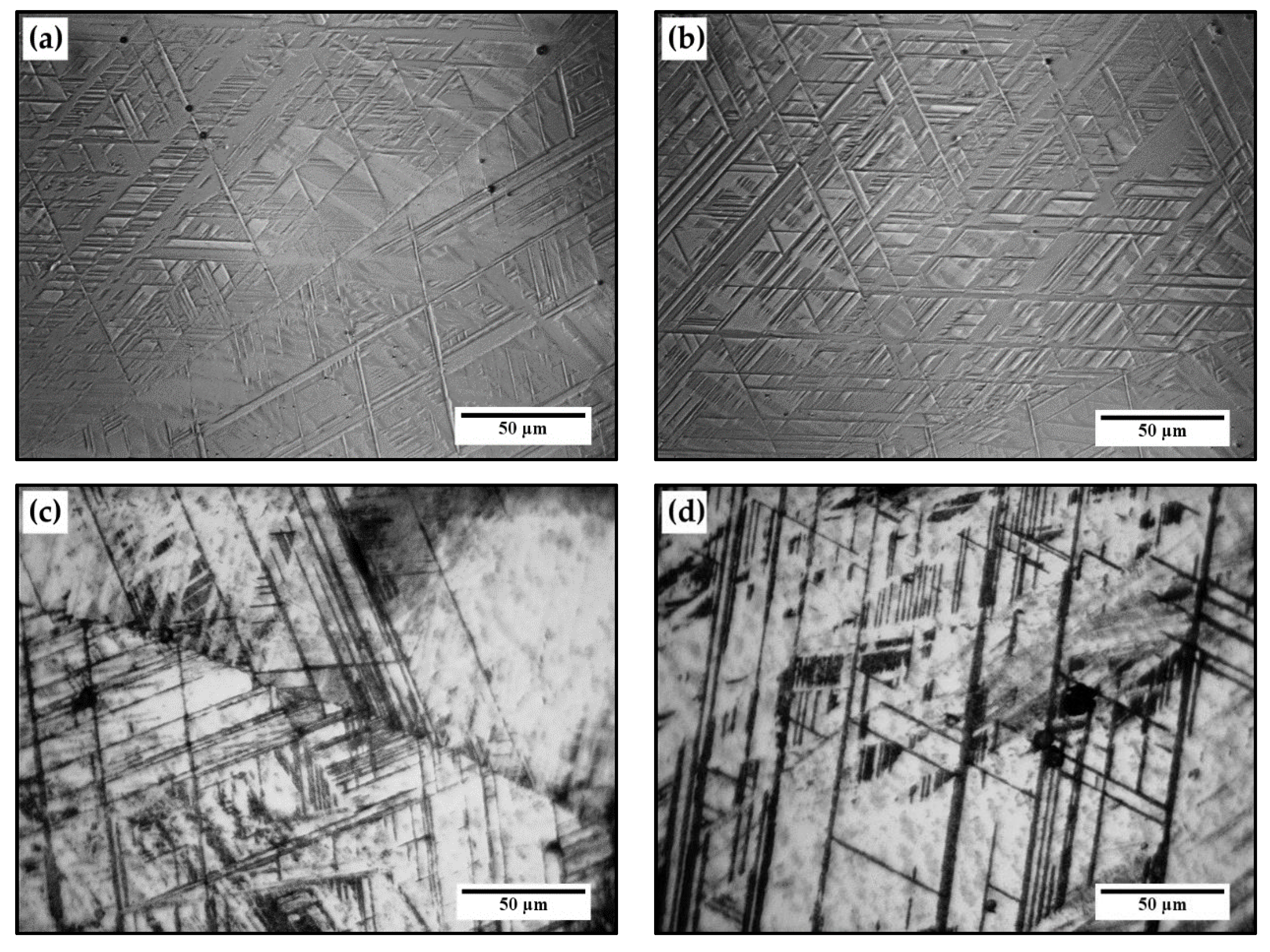 Metals 11 00024 g003
