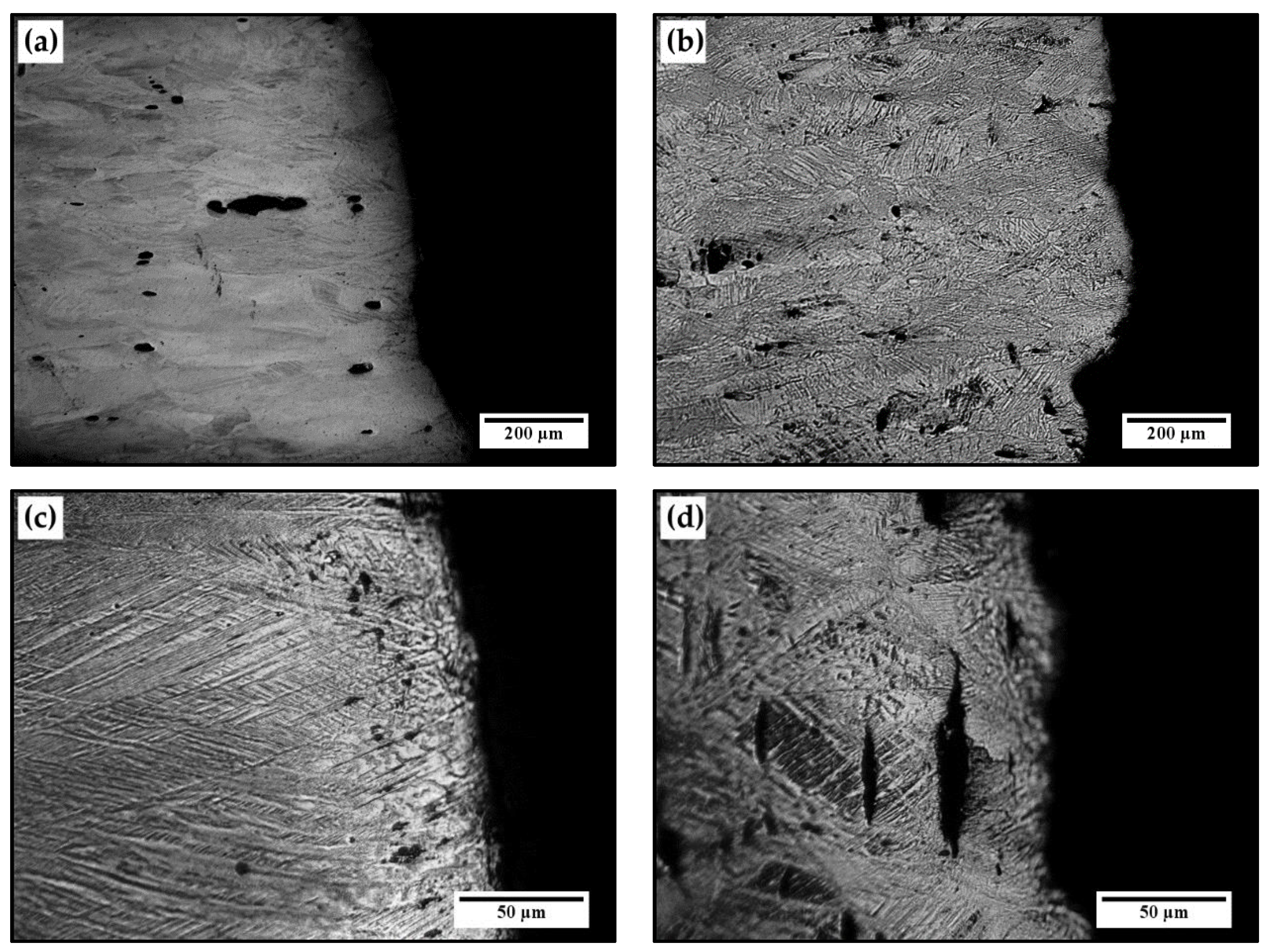 Metals 11 00024 g007a