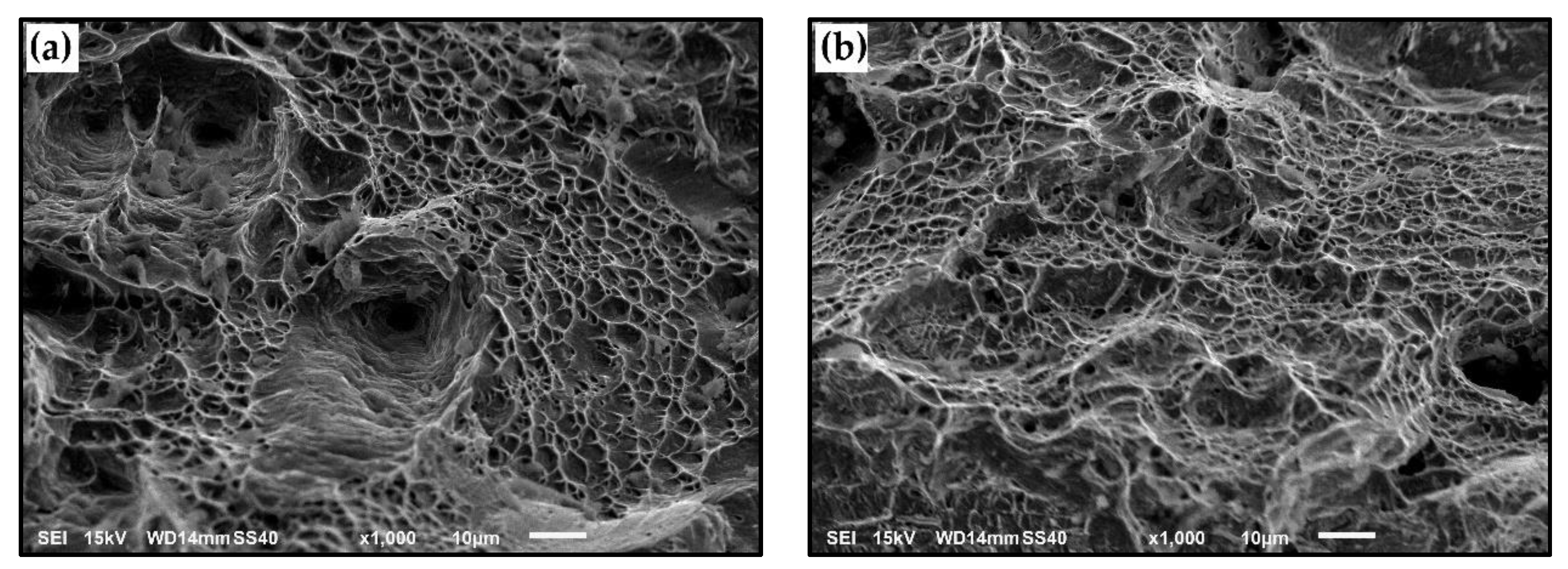 Metals 11 00024 g008a