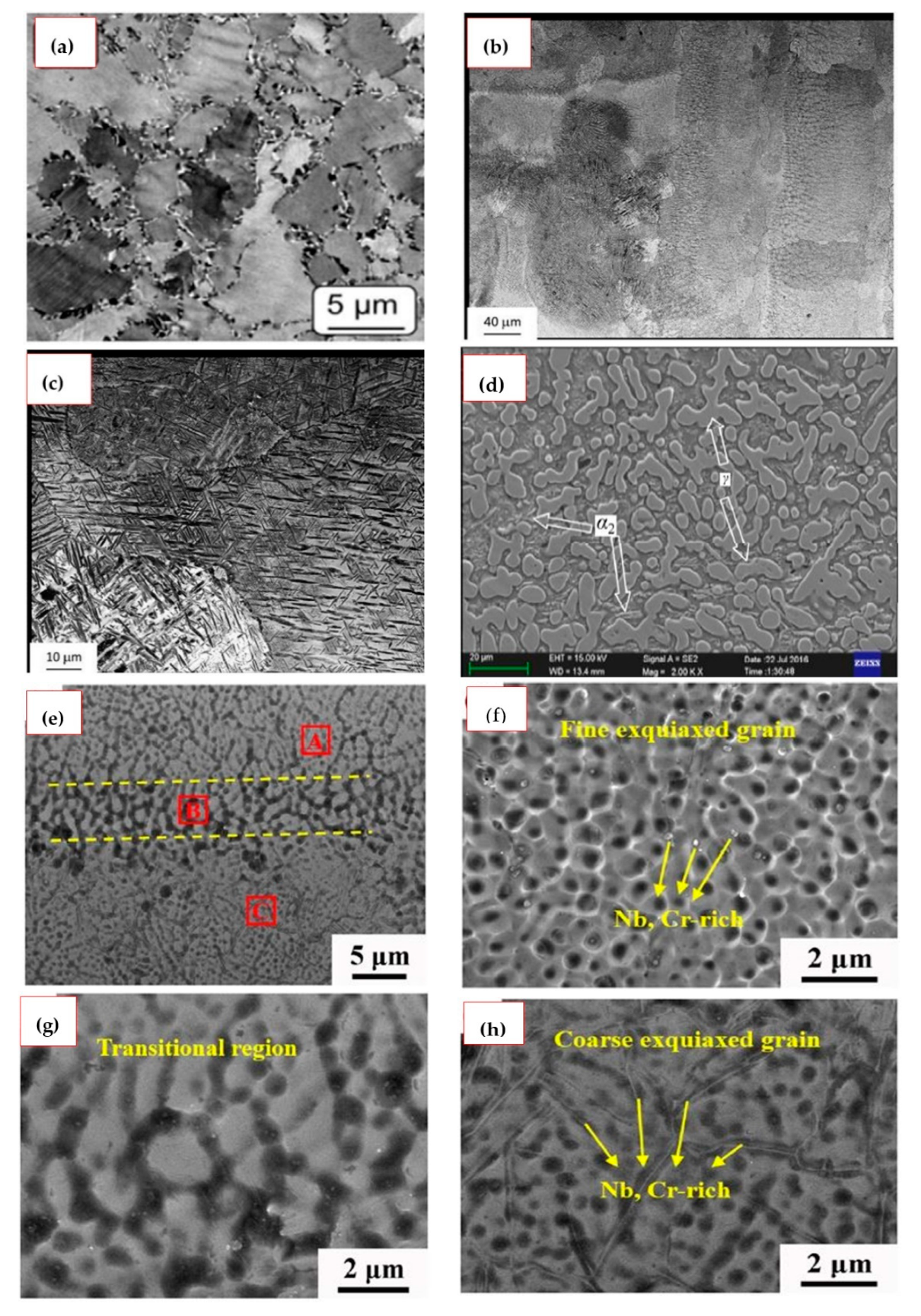 Metals 11 00058 g010