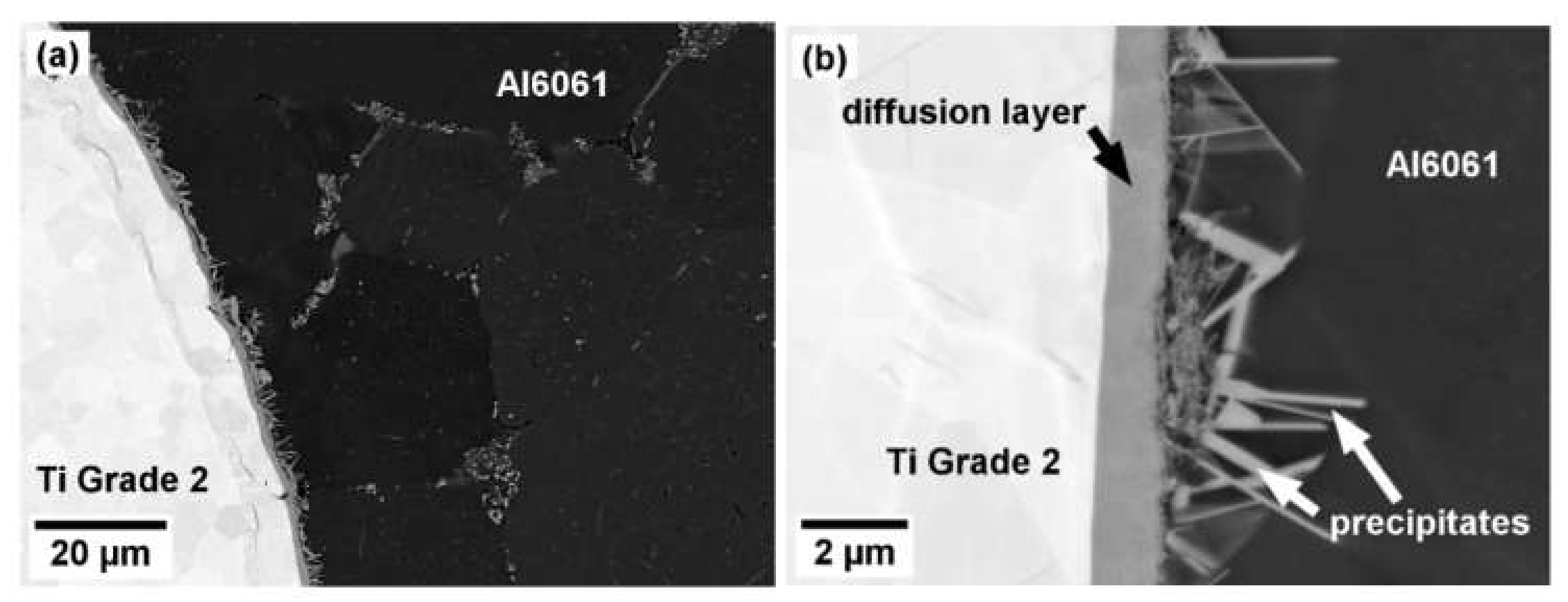 Metals 11 00073 g004