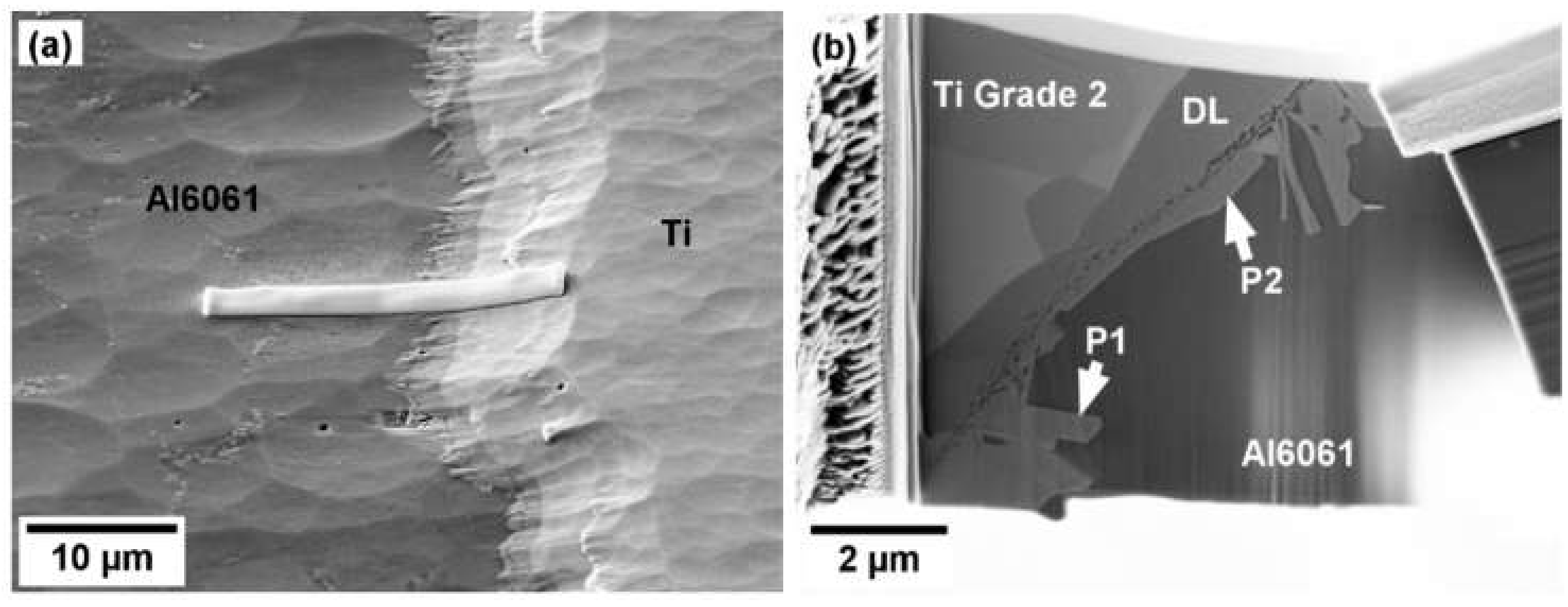 Metals 11 00073 g006