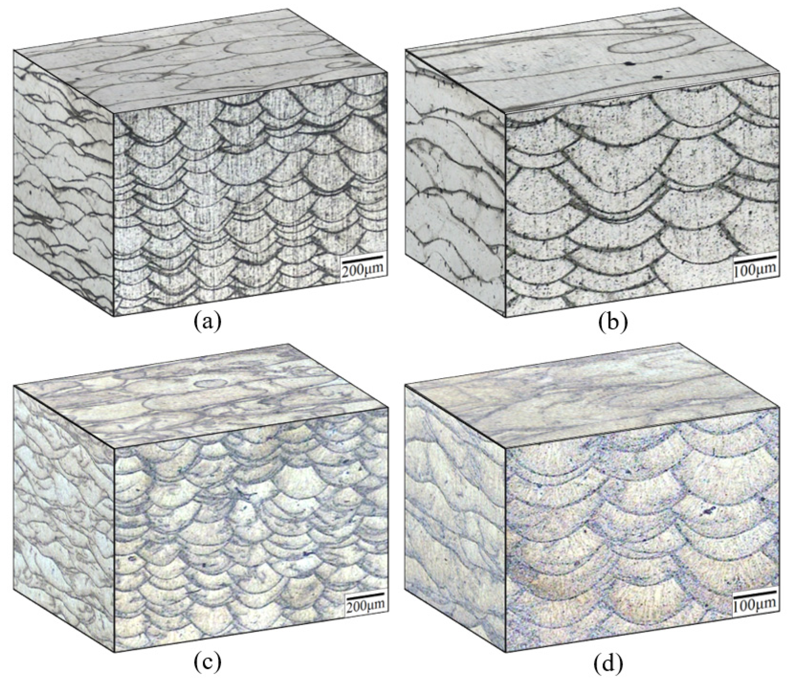 Metals 11 00087 g003