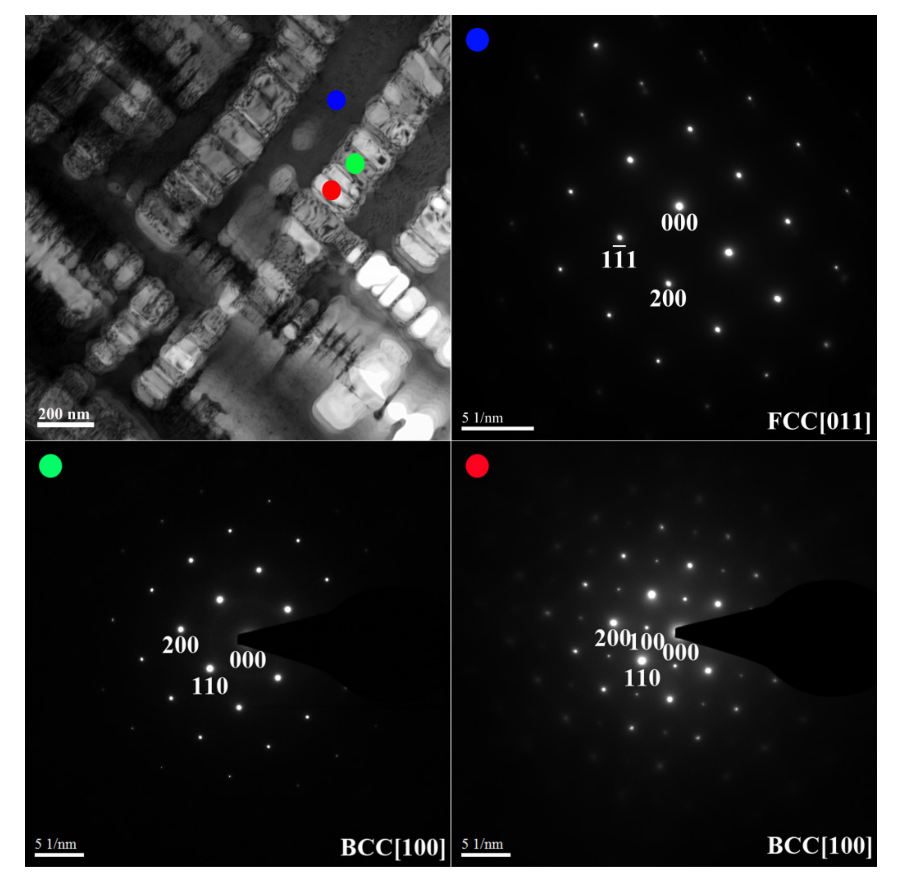 Metals 11 00091 g006