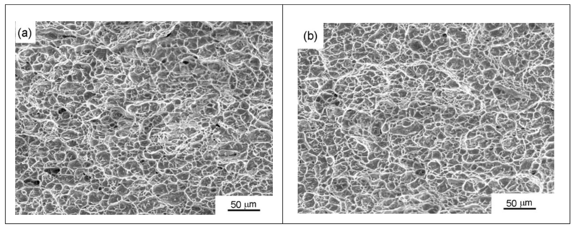 Metals 11 00109 g010a Metals 11 00109 g010a