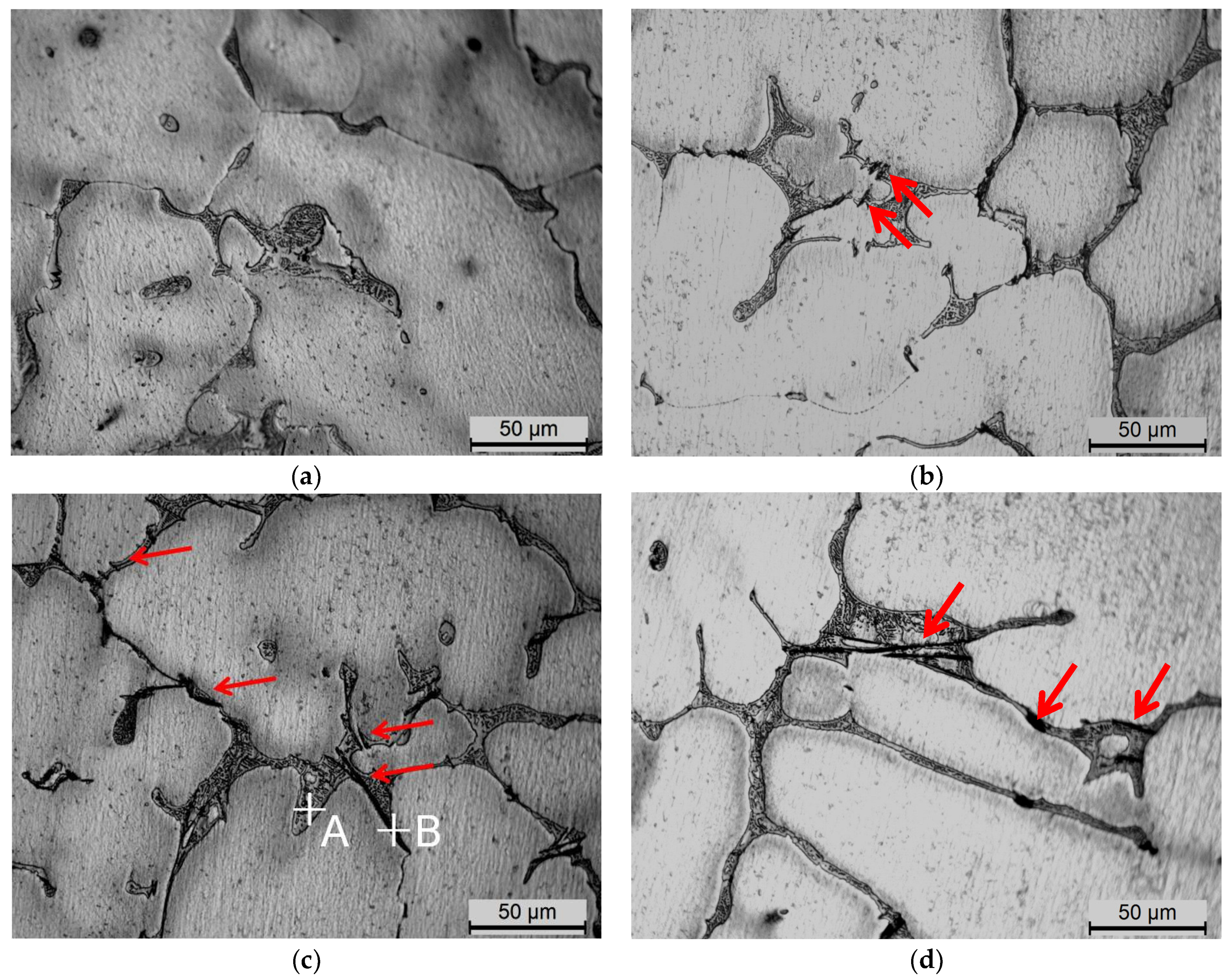 Metals 11 00174 g002 Metals 11 00174 g002