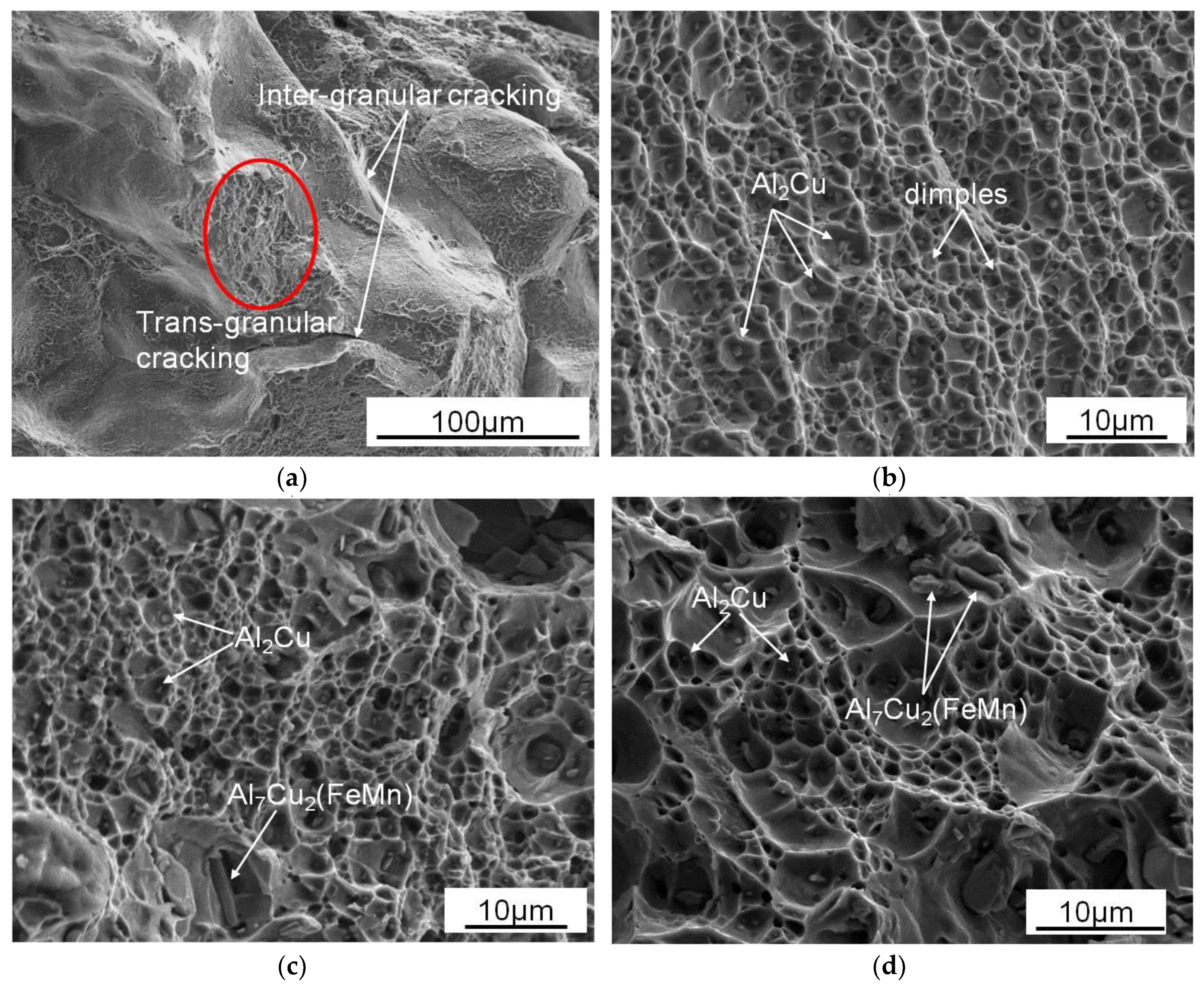 Metals 11 00174 g009 Metals 11 00174 g009