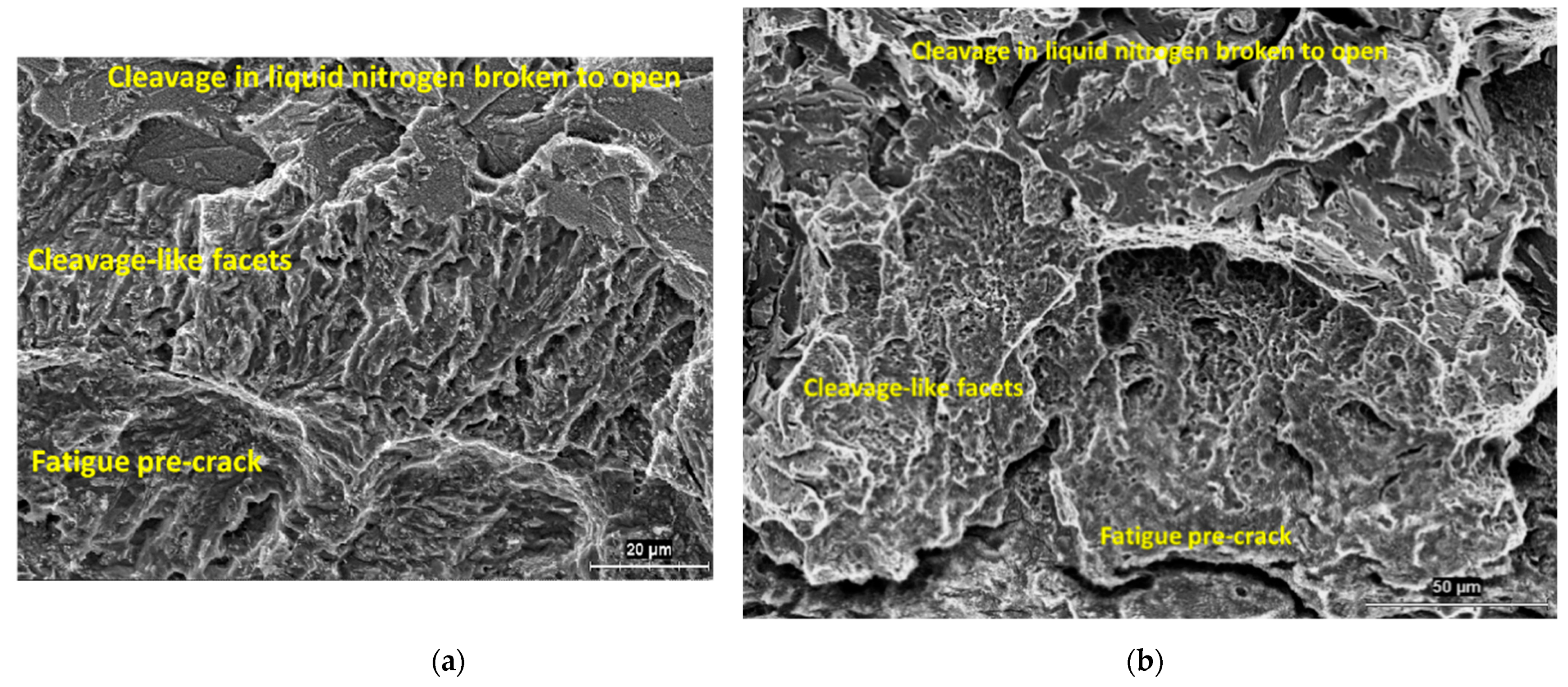 Metals 11 00199 g002