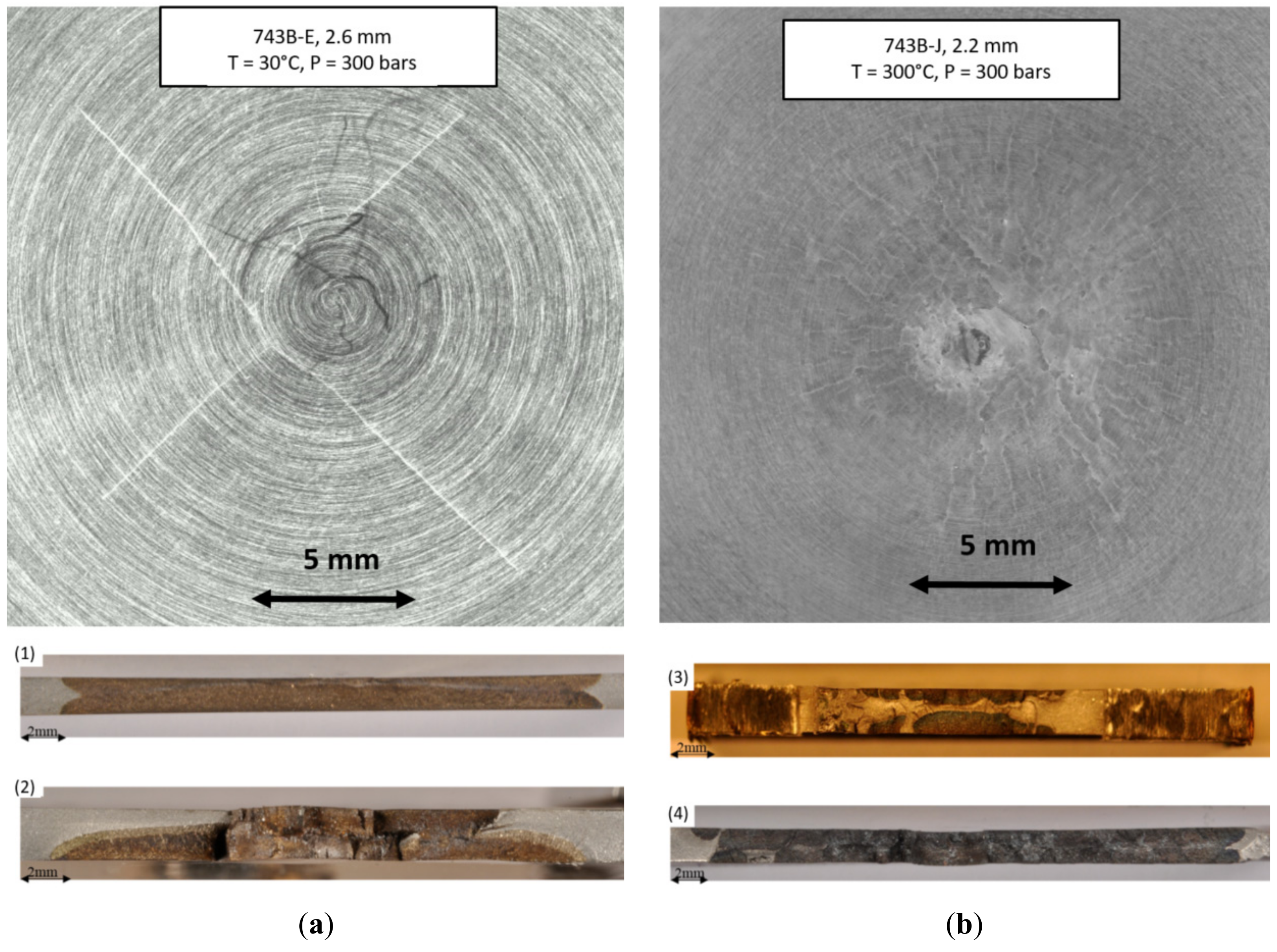Metals 11 00203 g013 Metals 11 00203 g013