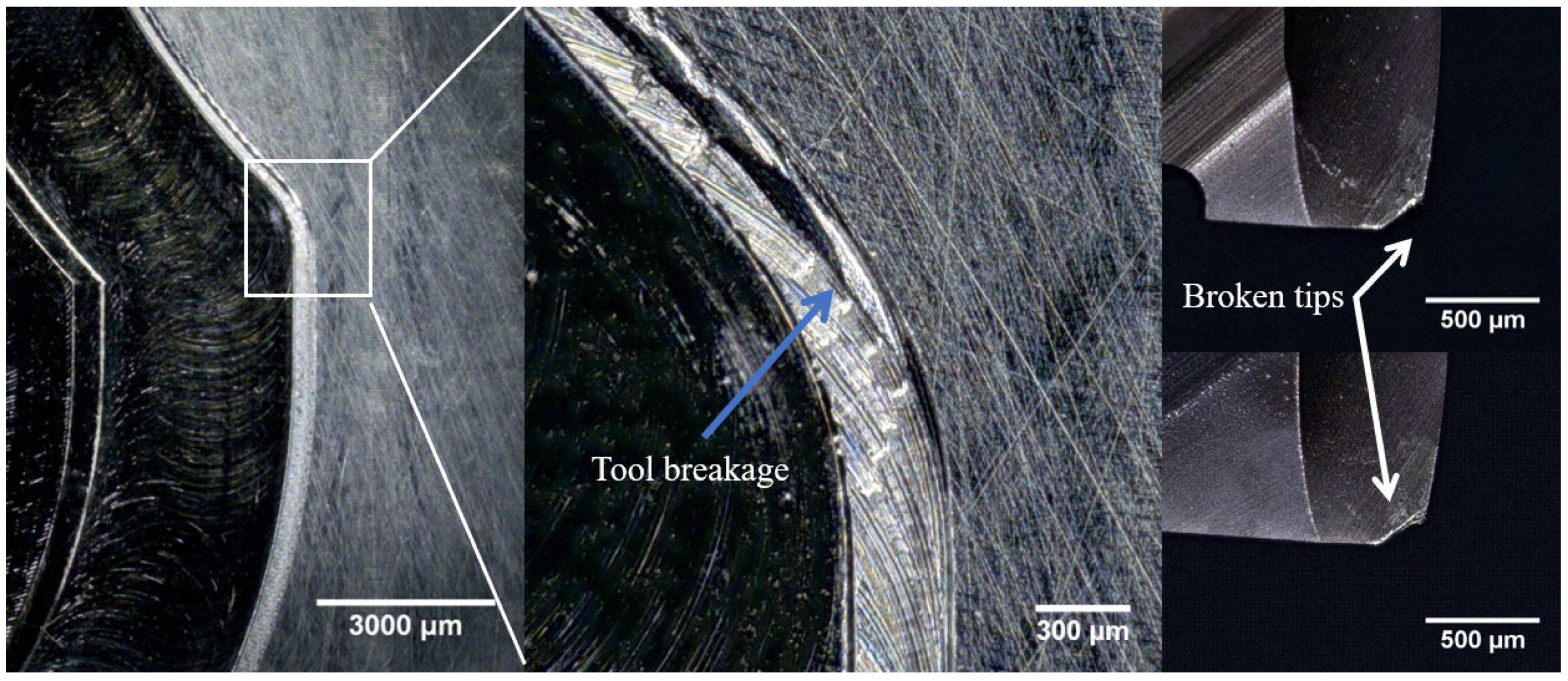 Metals 11 00215 g010