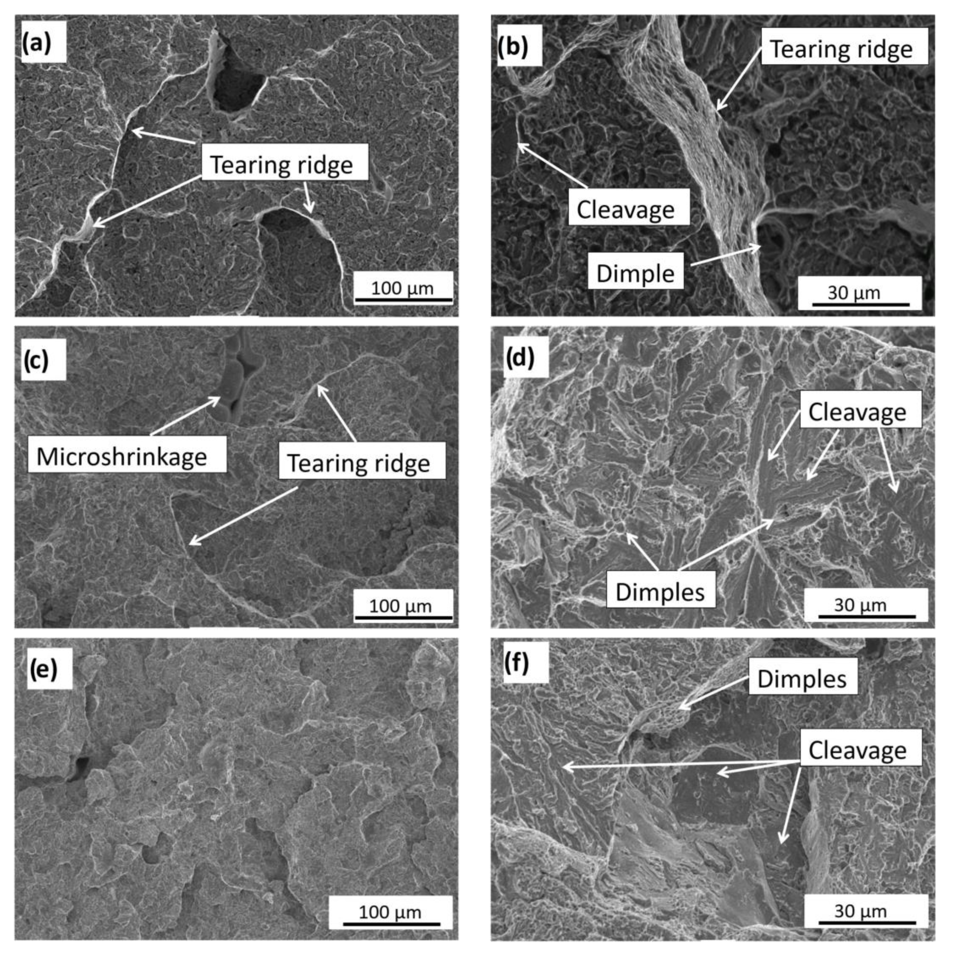 Metals 11 00220 g017 Metals 11 00220 g017