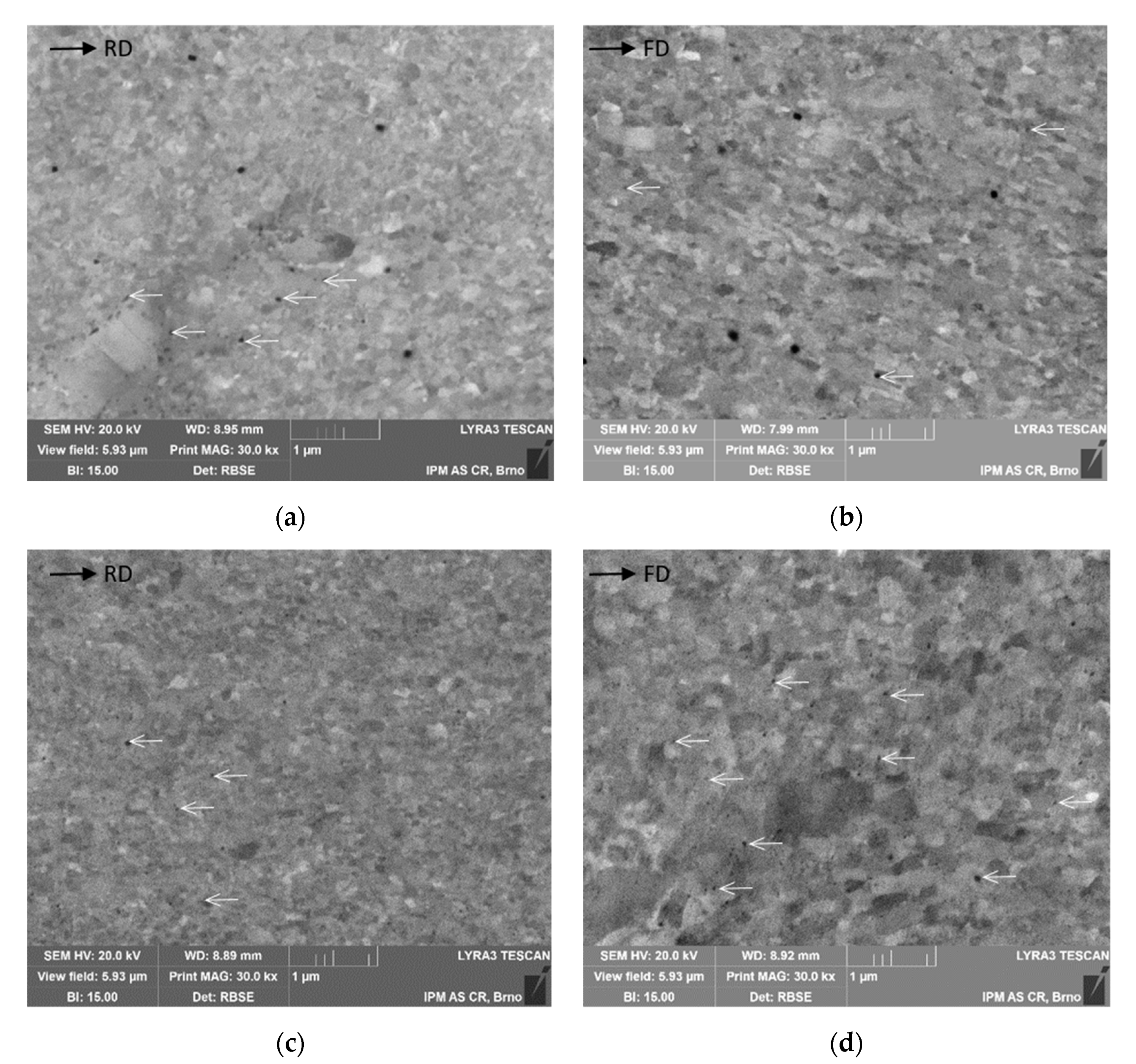 Metals 11 00228 g003 Metals 11 00228 g003