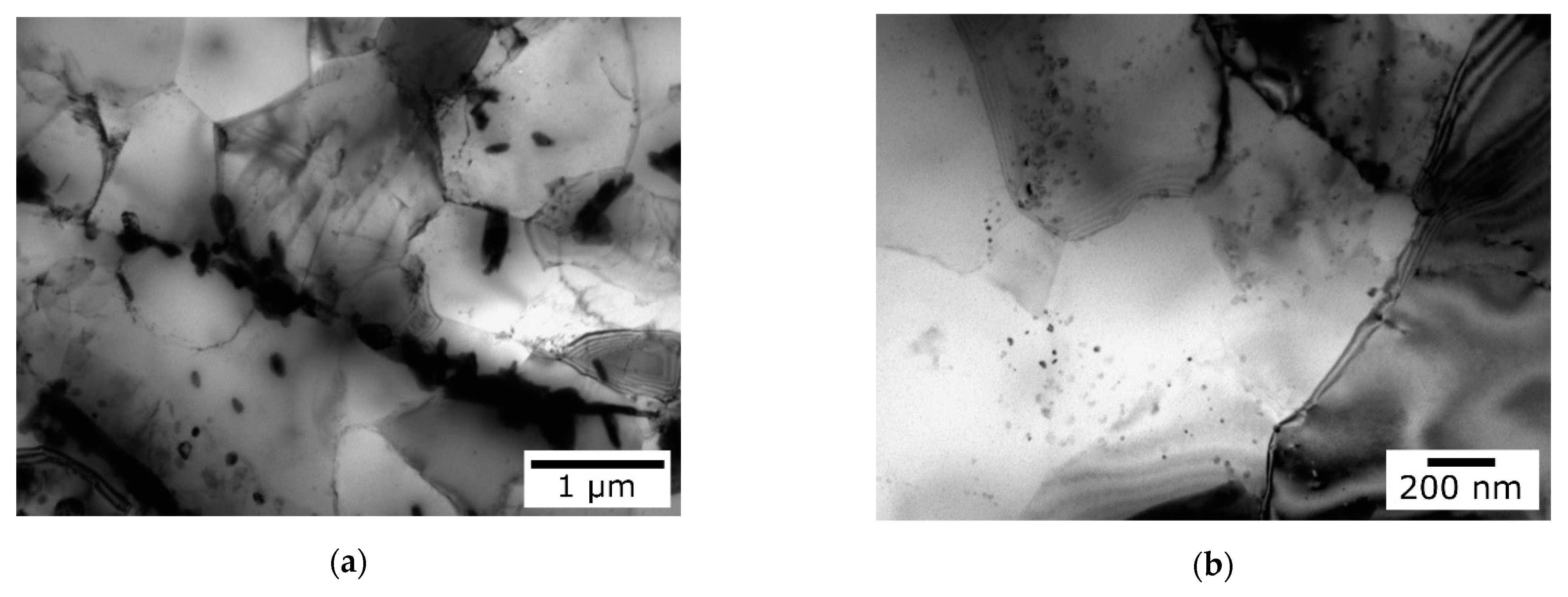 Metals 11 00236 g005a