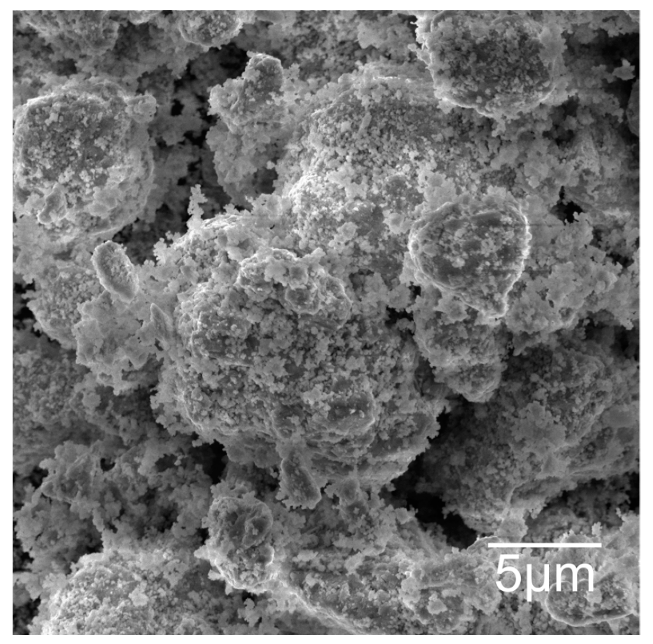 Metals 11 00240 g004