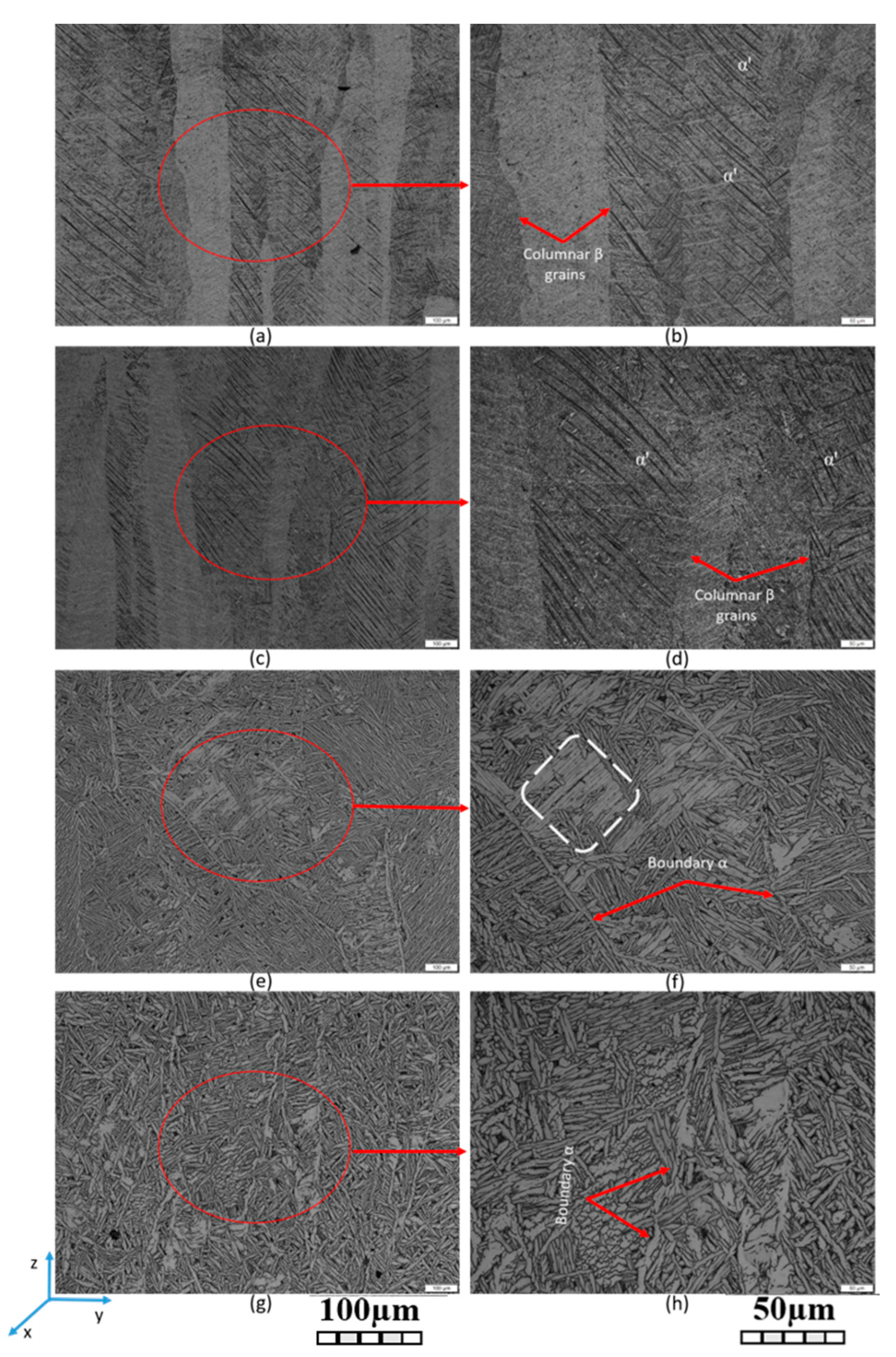 Metals Free Full Text Evaluation Of Heat Treatment Parameters On Microstructure And Hardness Properties Of High Speed Selective Laser Melted Ti6al4v Html