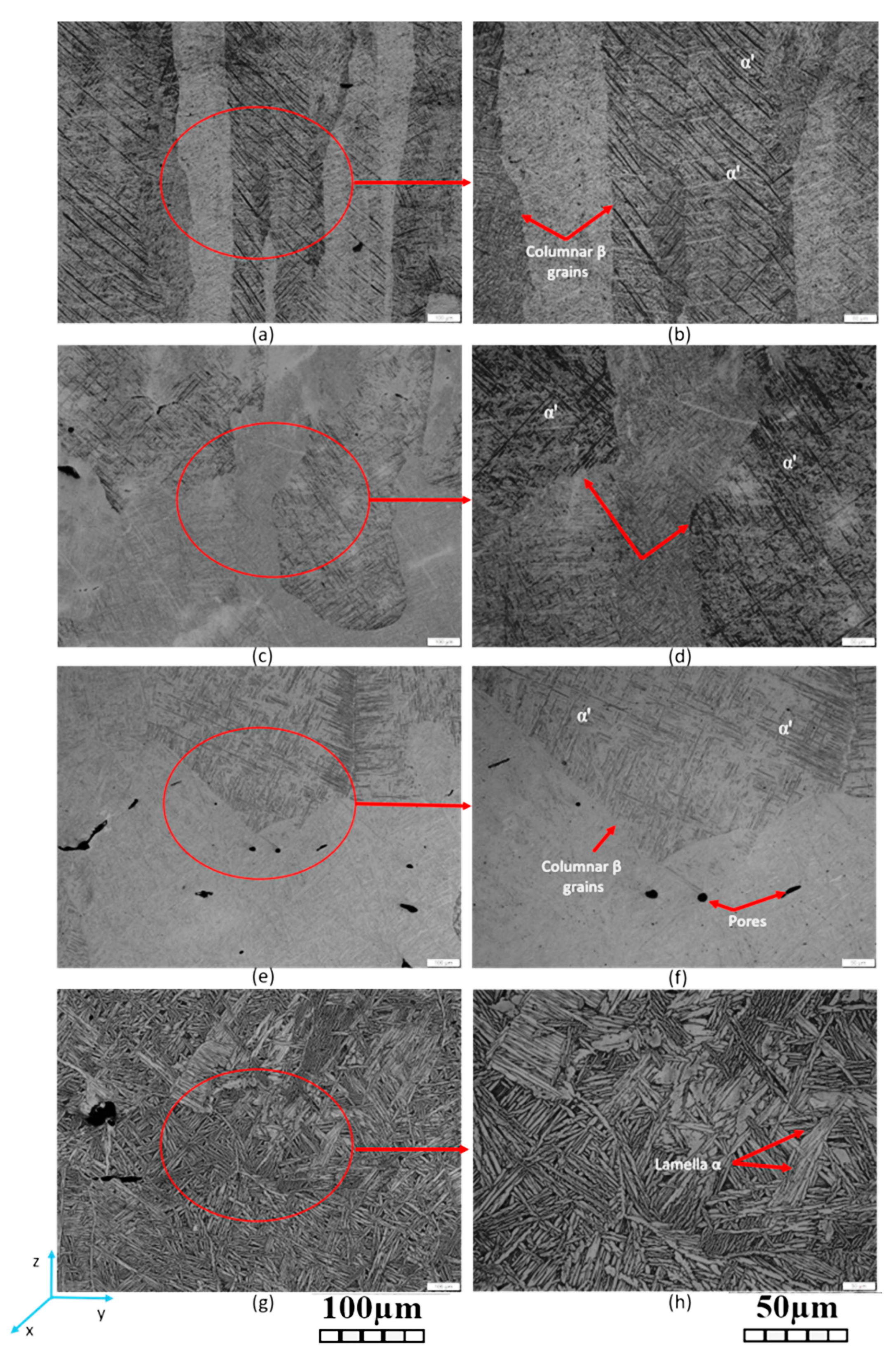 Metals Free Full Text Evaluation Of Heat Treatment Parameters On Microstructure And Hardness Properties Of High Speed Selective Laser Melted Ti6al4v Html