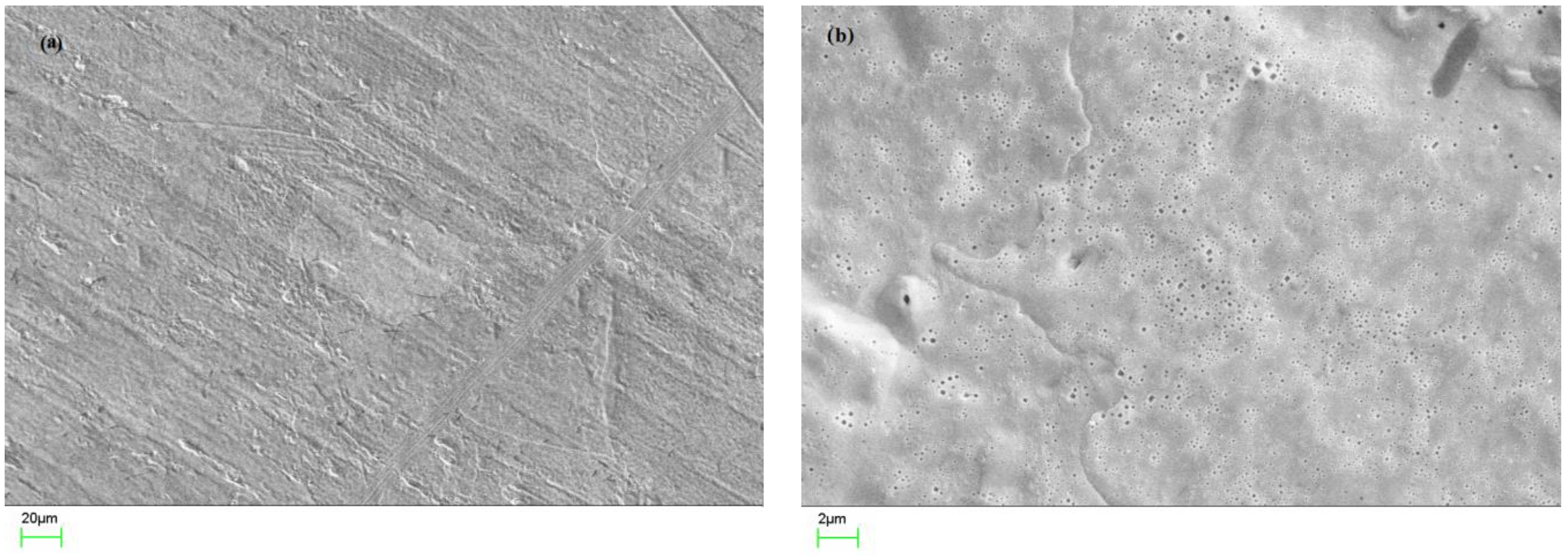 Metals 11 00274 g001a Metals 11 00274 g001a