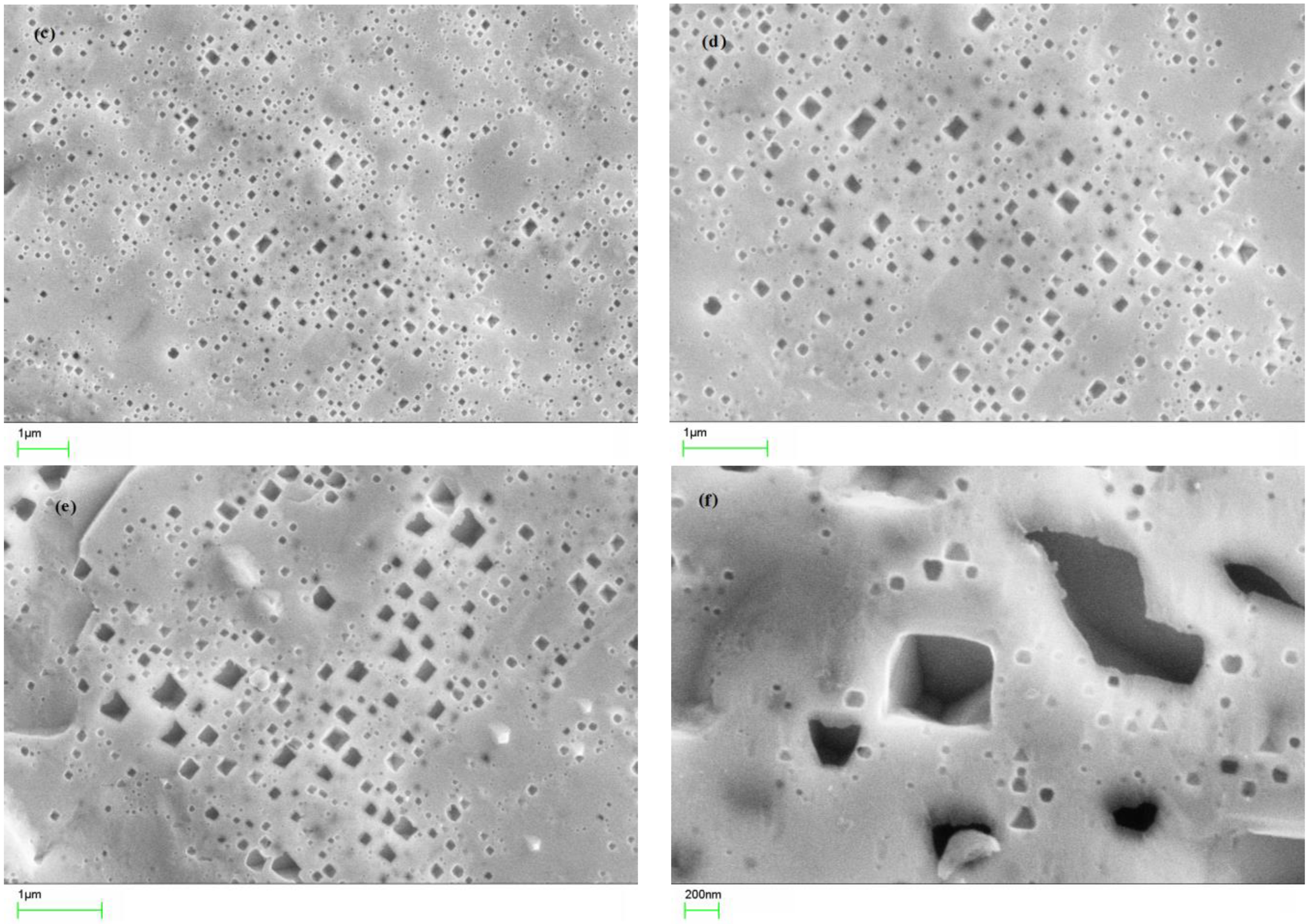 Metals 11 00274 g001b Metals 11 00274 g001b