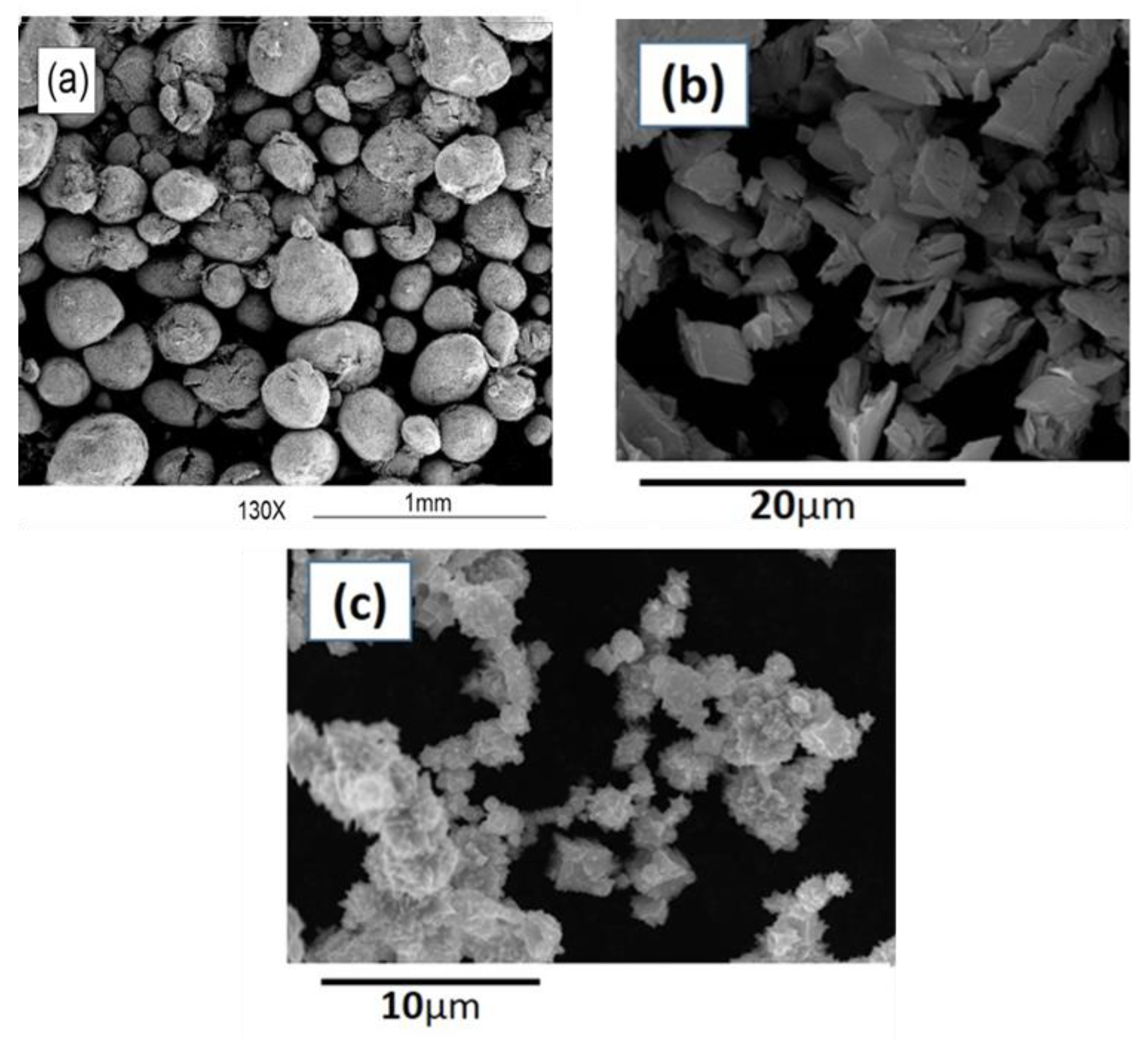 Metals 11 00285 g001