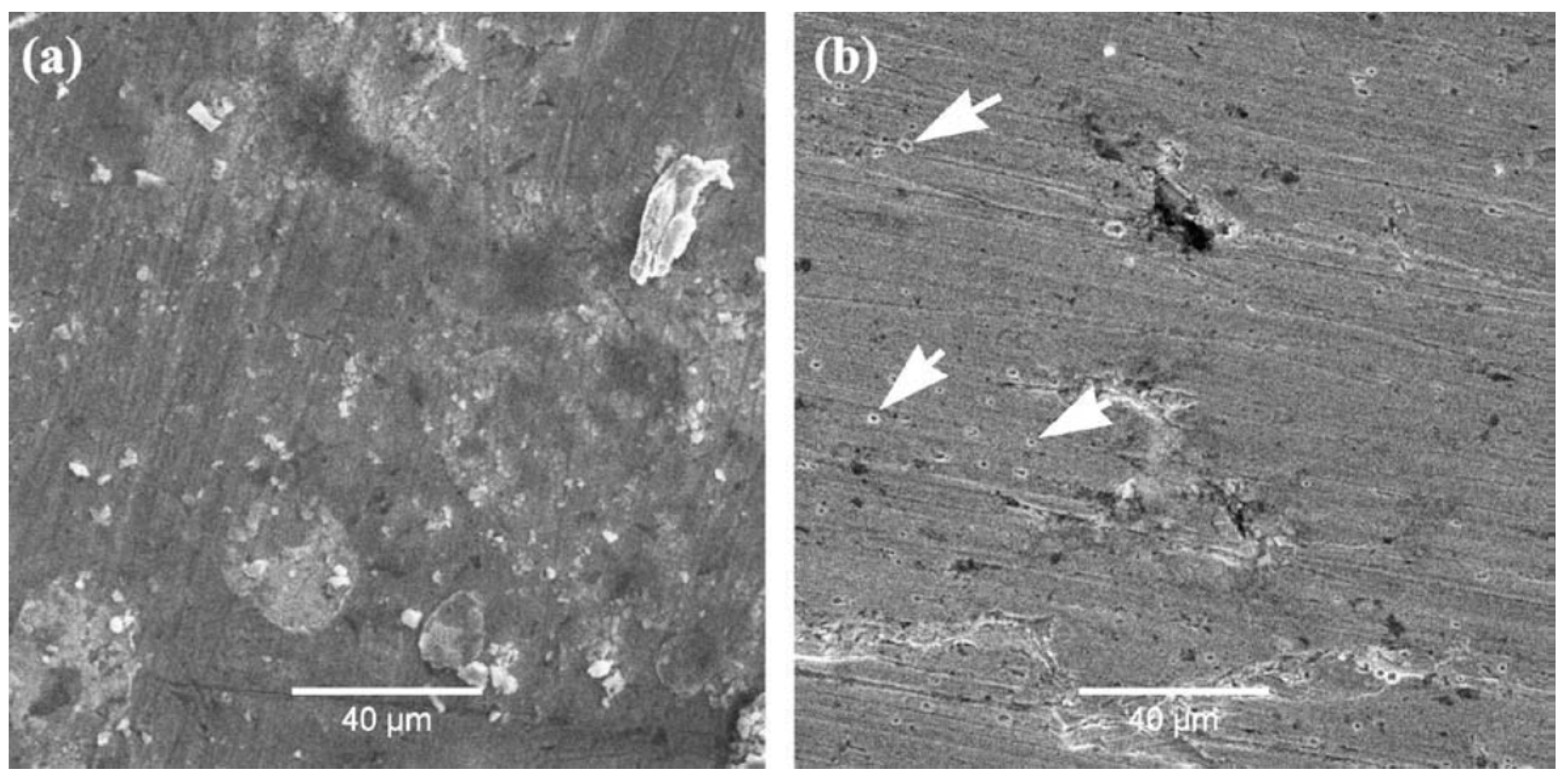 Metals 11 00287 g011 Metals 11 00287 g011