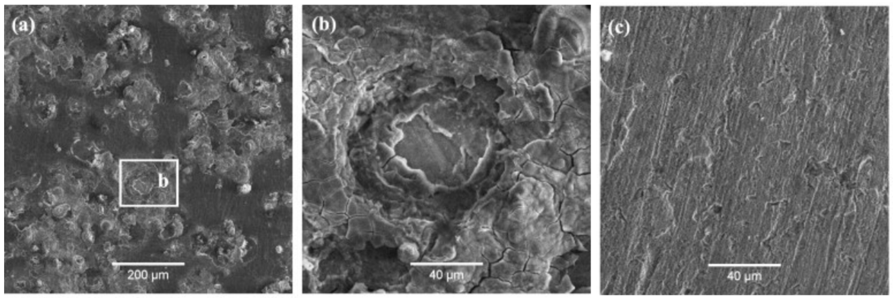 Metals 11 00287 g012 Metals 11 00287 g012