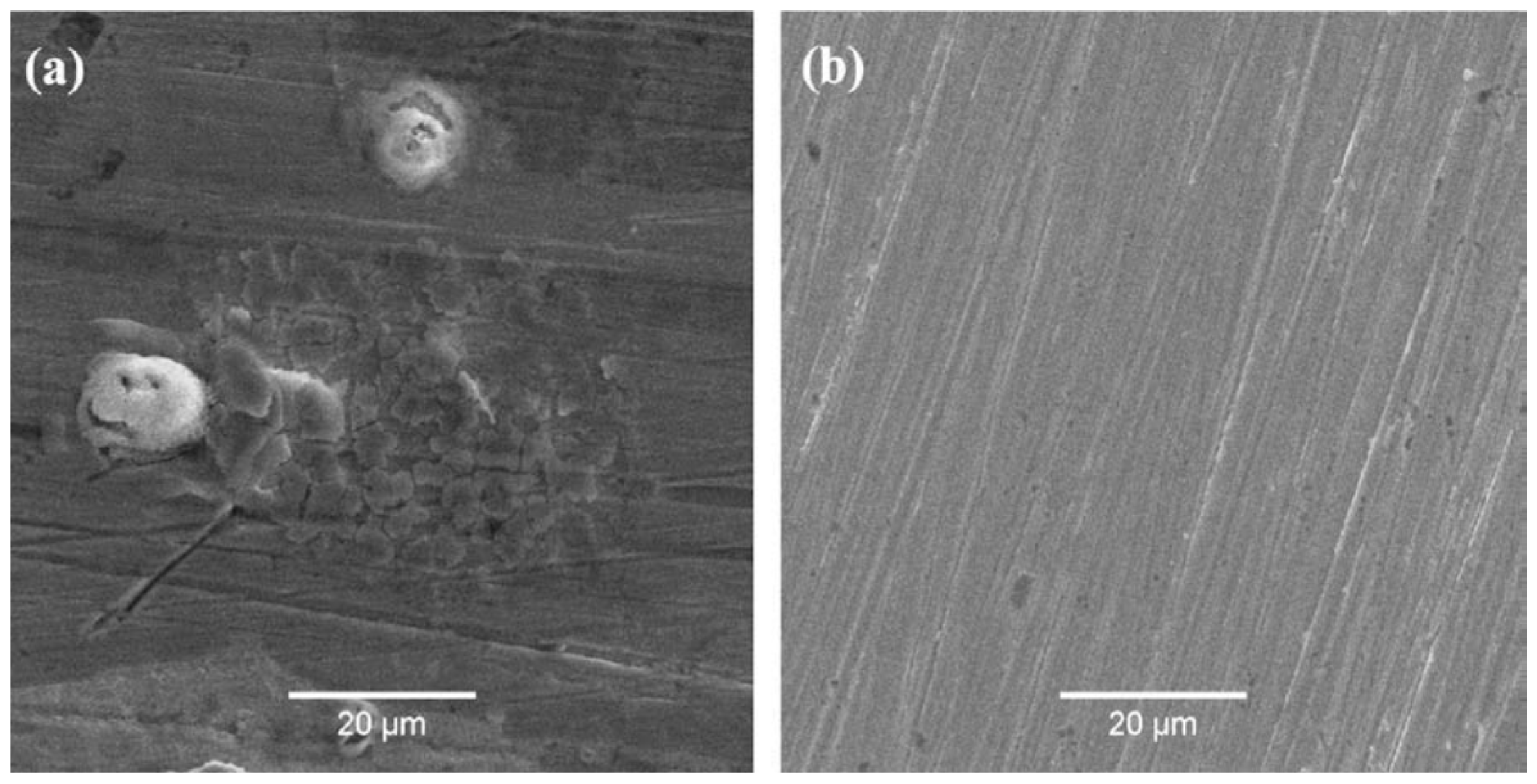 Metals 11 00287 g013 Metals 11 00287 g013