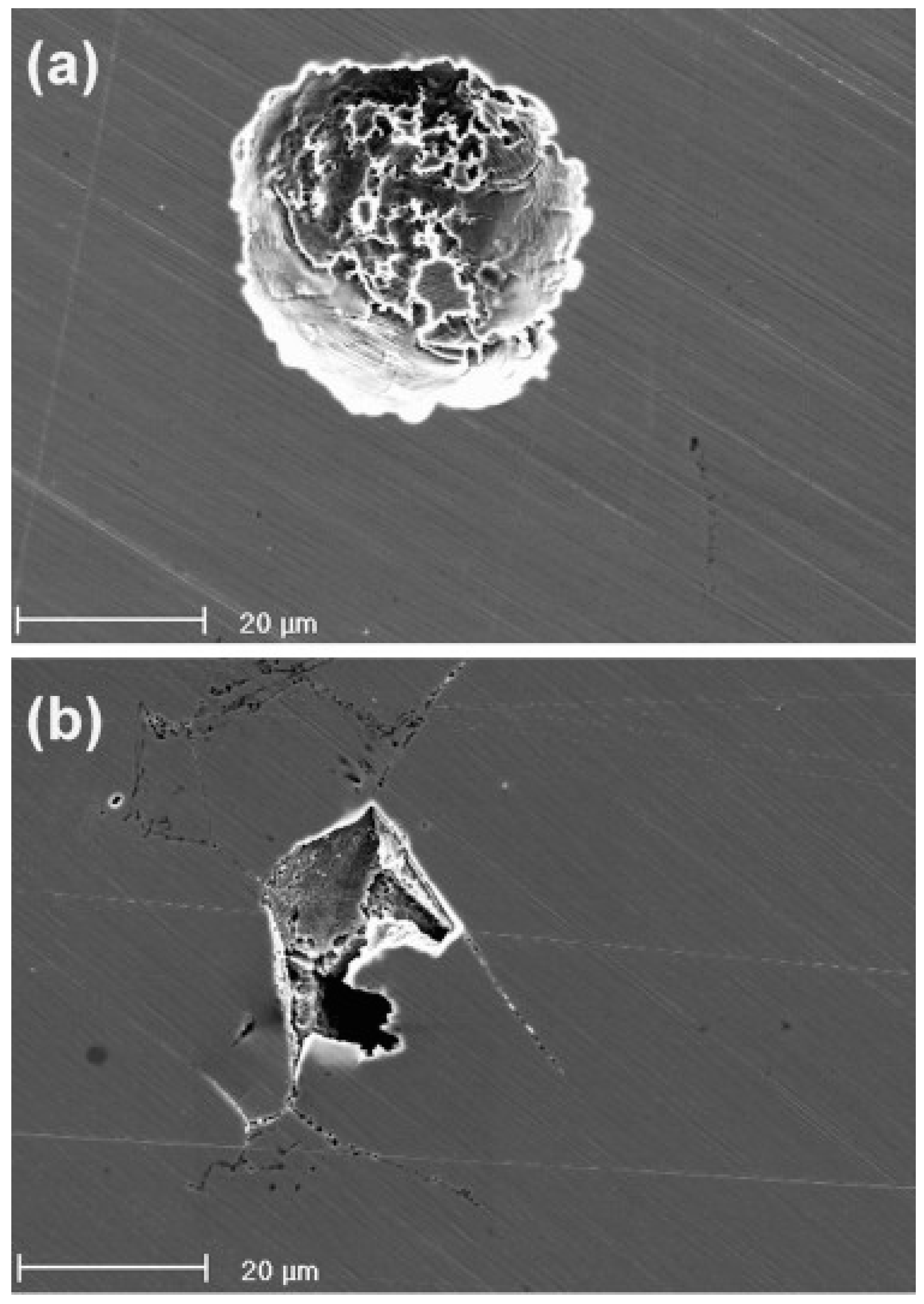 Metals 11 00287 g019 Metals 11 00287 g019