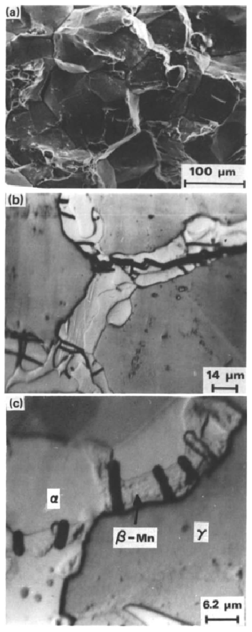 Metals 11 00287 g023 Metals 11 00287 g023