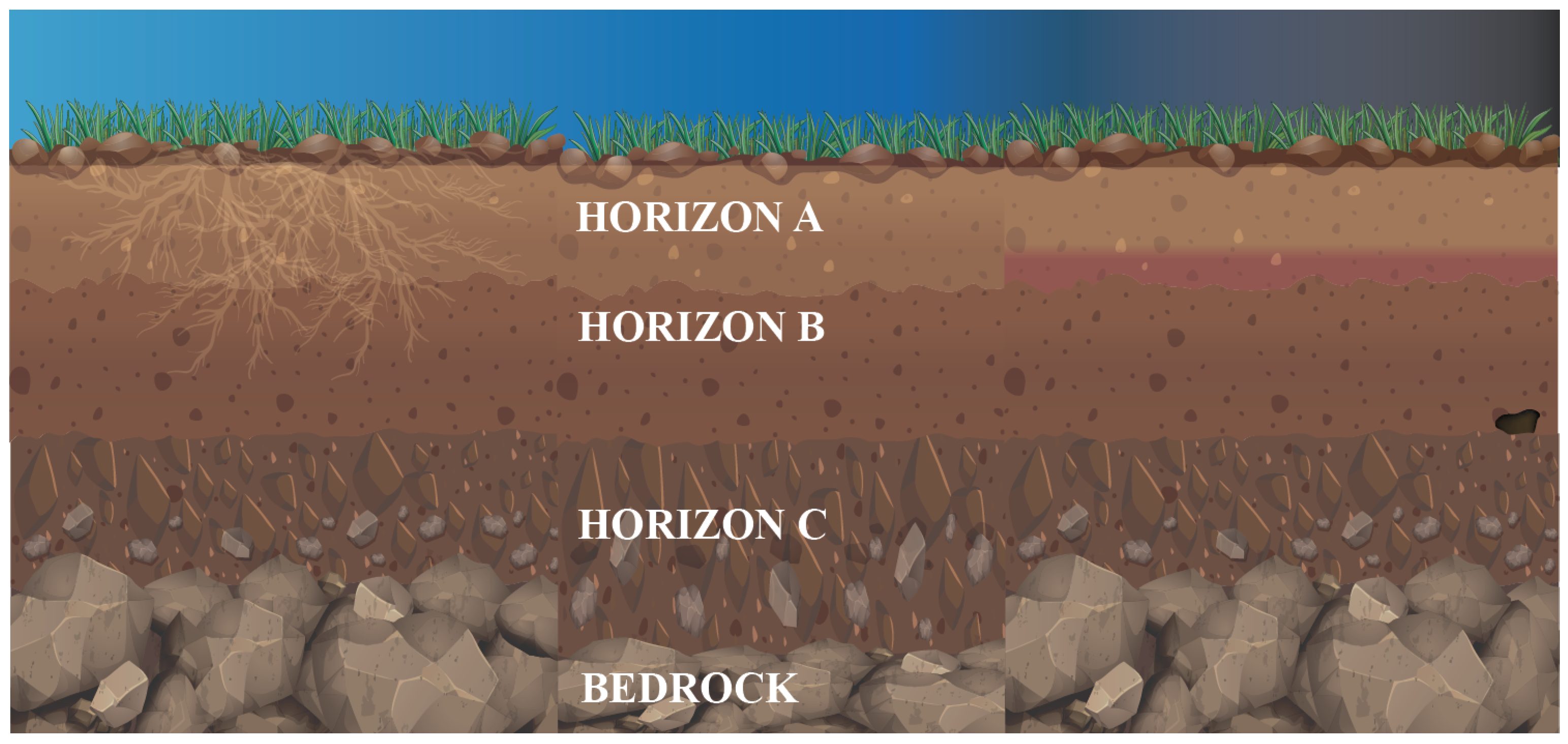 Metals 11 00292 g001