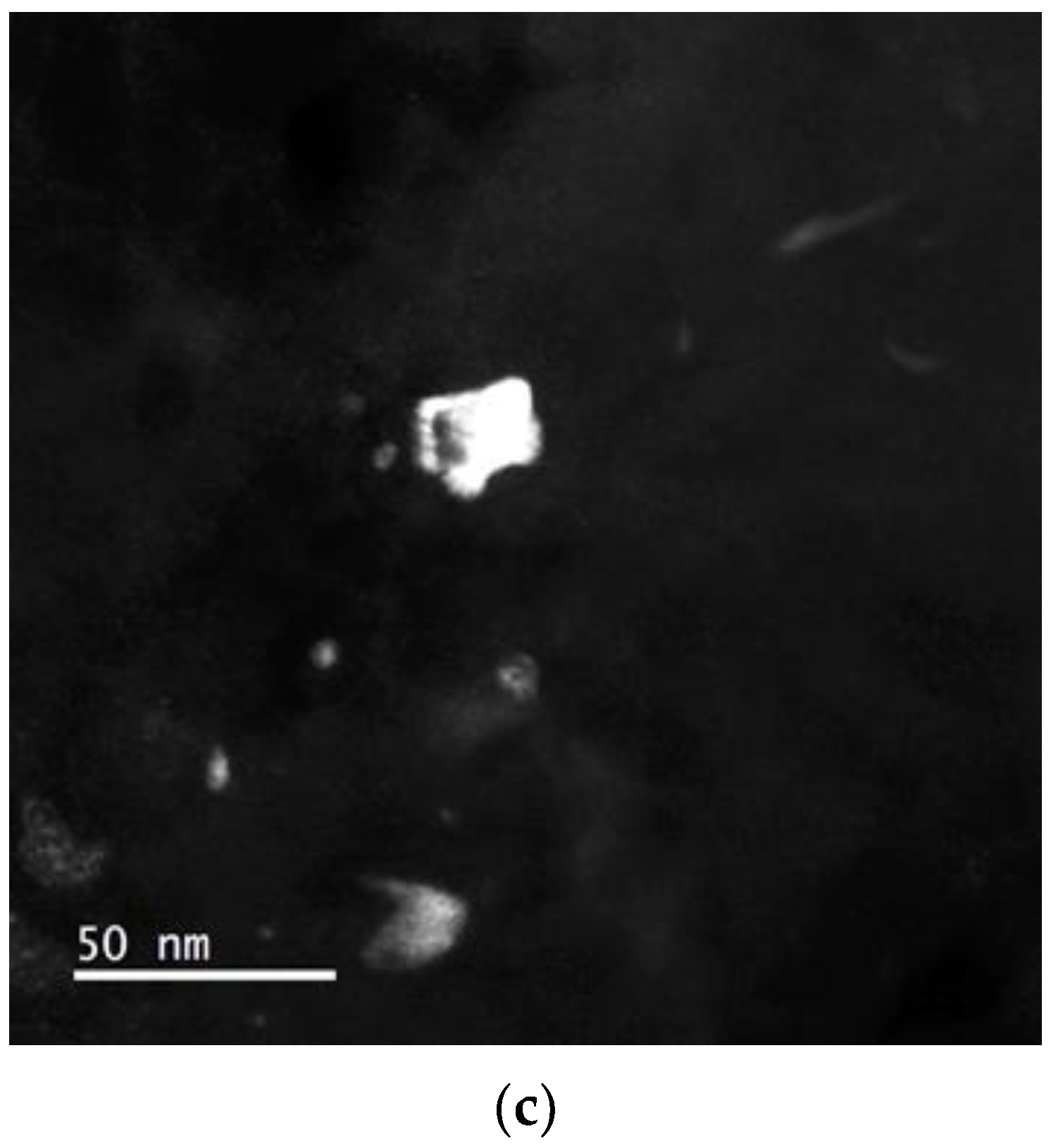 Metals 11 00296 g007b Metals 11 00296 g007b