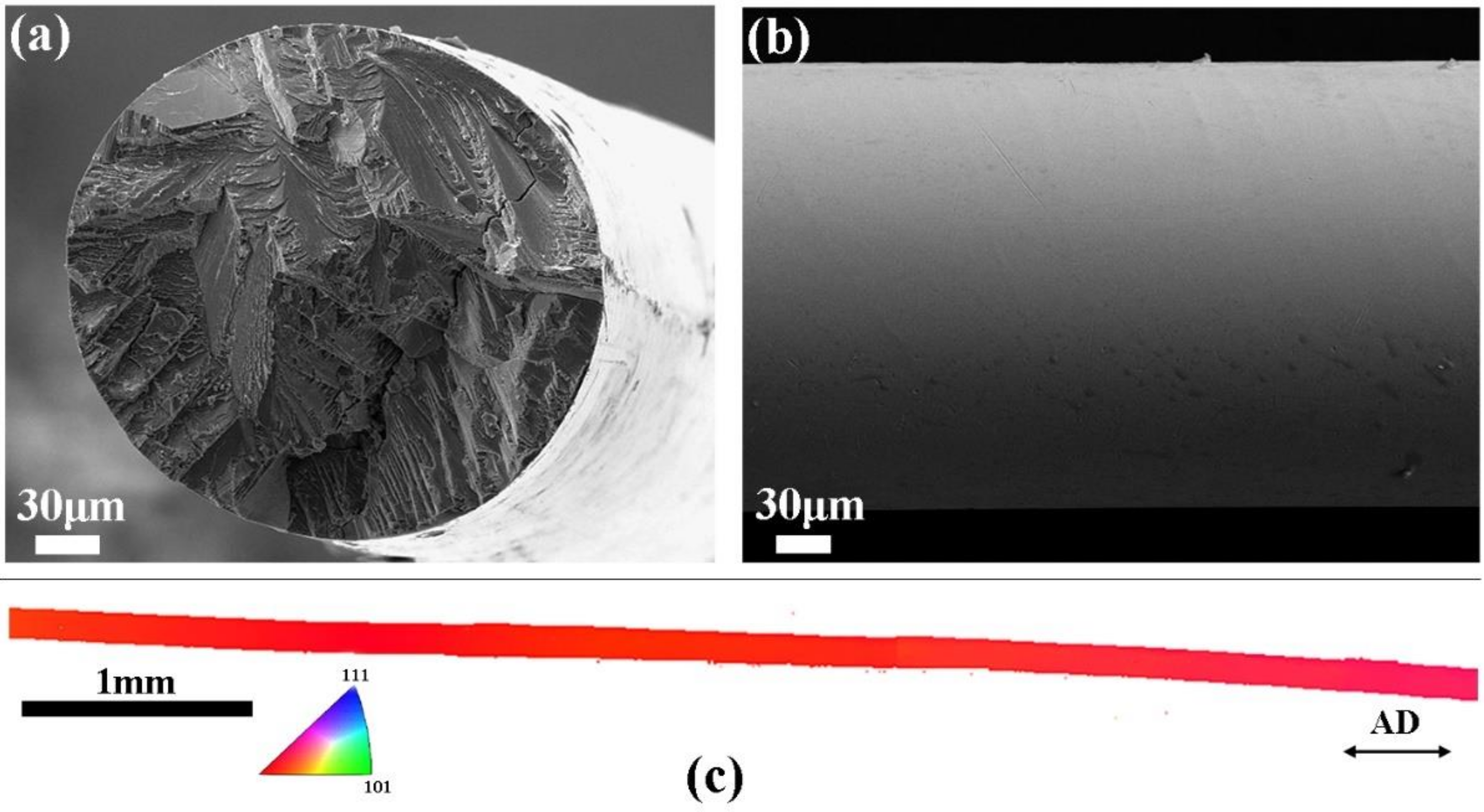 Metals 11 00309 g001