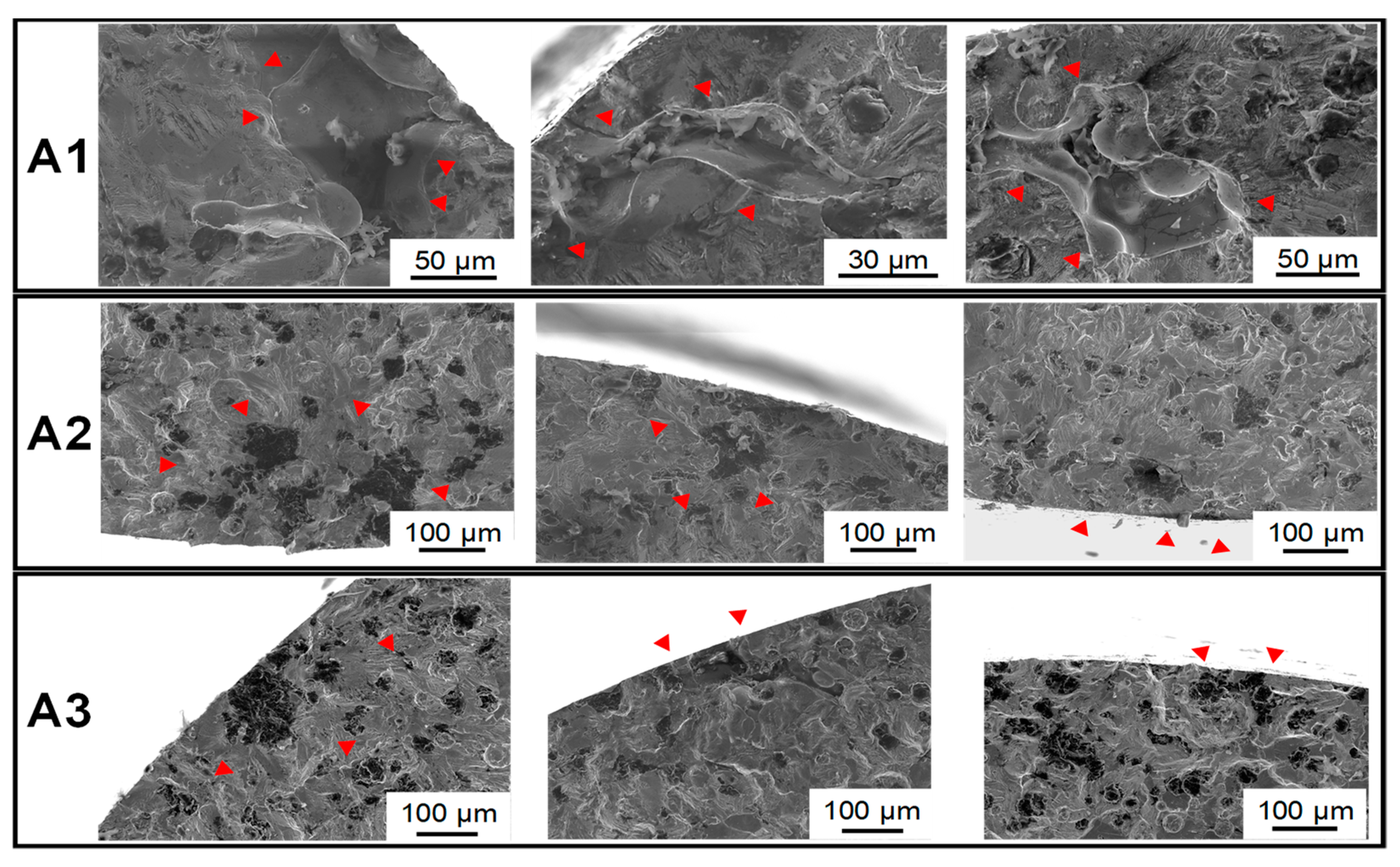 Metals 11 00311 g006 Metals 11 00311 g006
