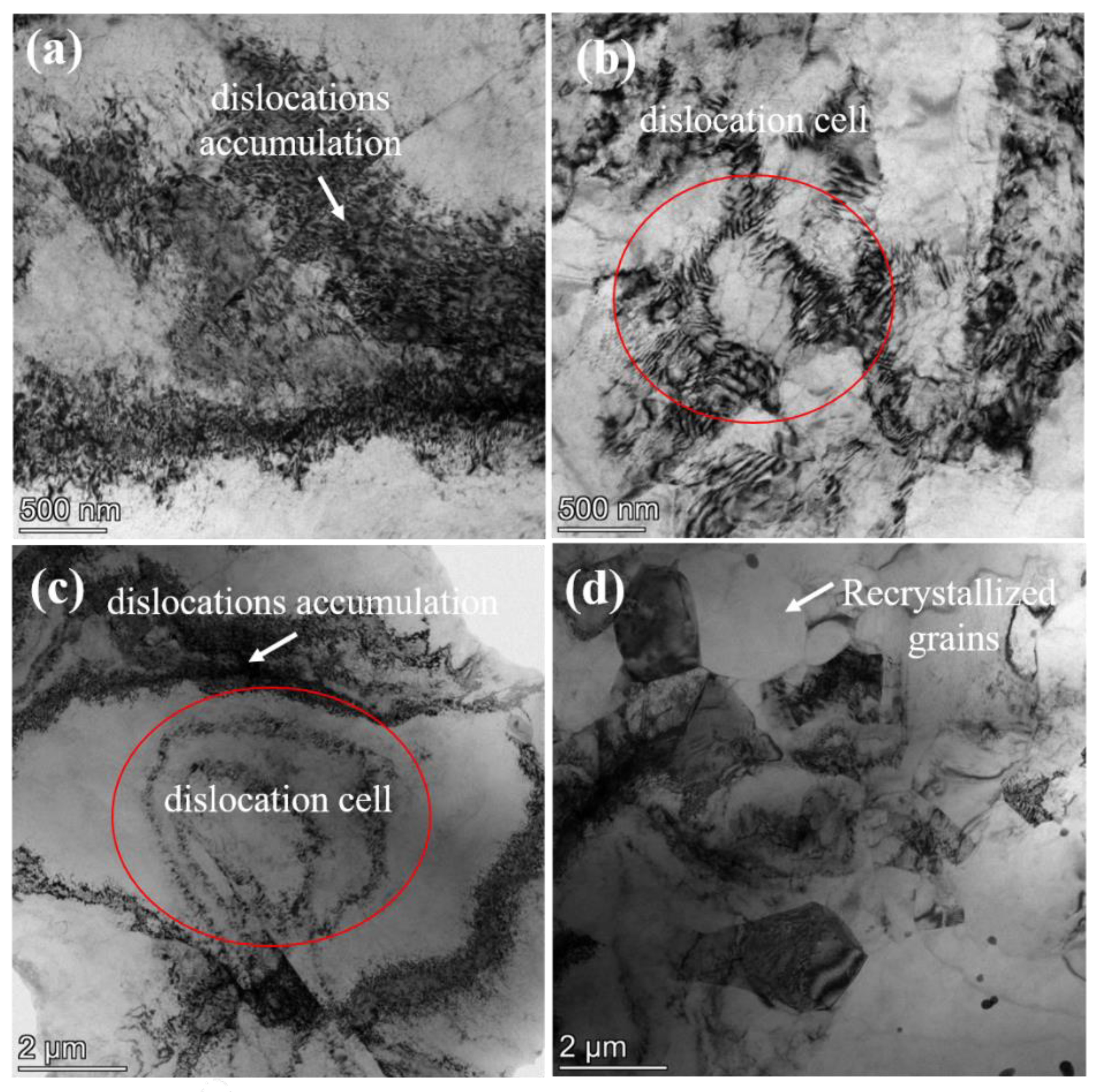 Metals 11 00315 g005