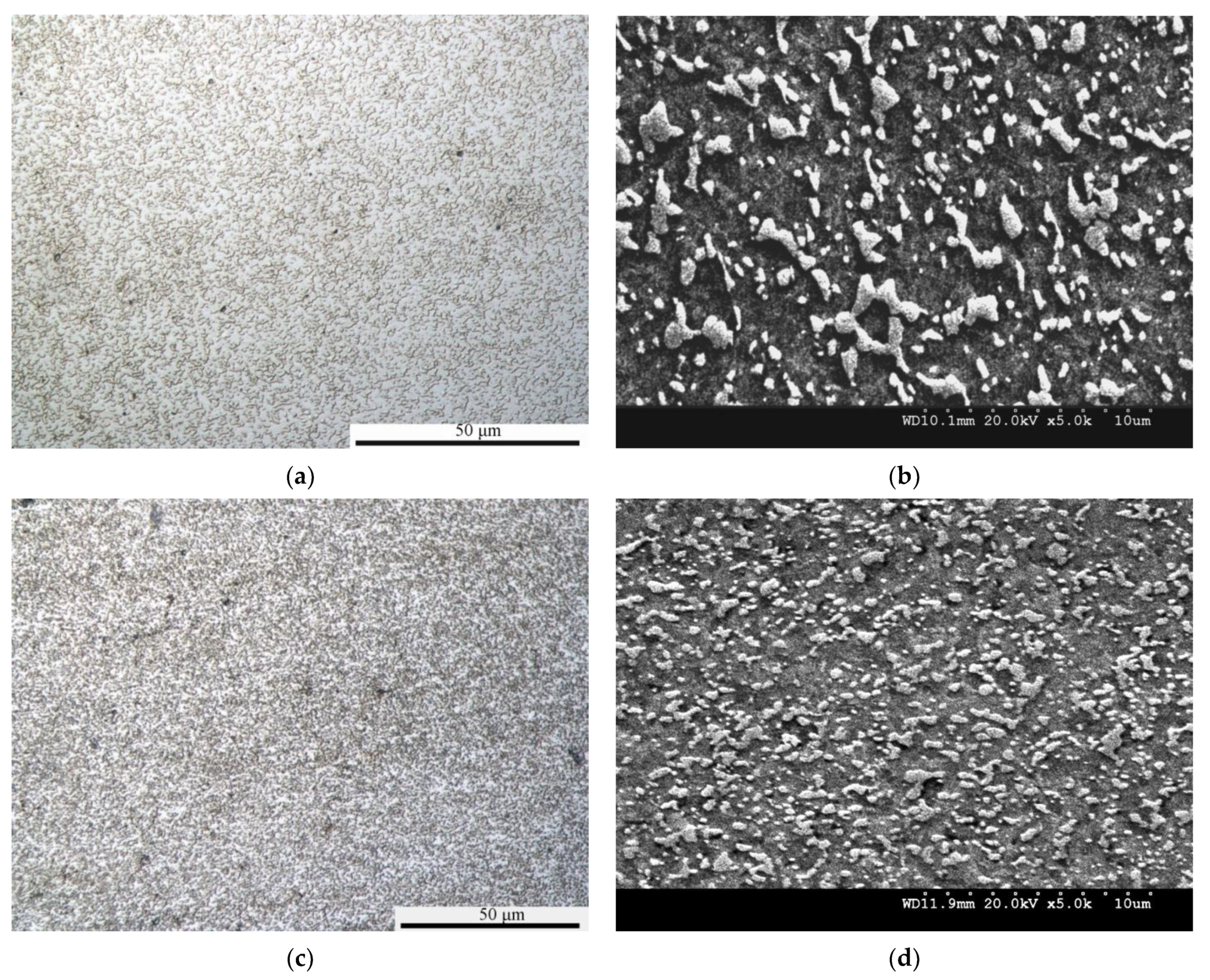 Metals 11 00328 g004a Metals 11 00328 g004a